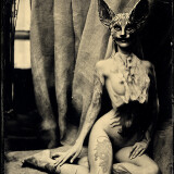 Image 10089779 from Real Red Fox | alenagerman | alena german