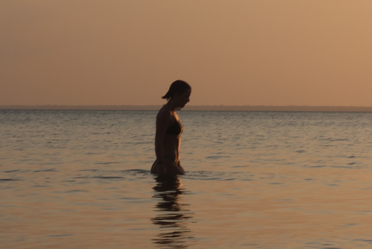 Image 10124937 from Alice Wegmann