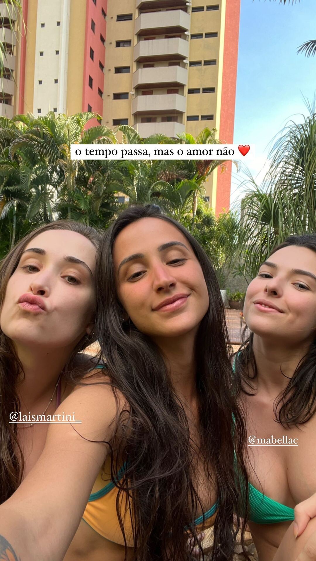 Image 10125521 from Mariana Nolasco