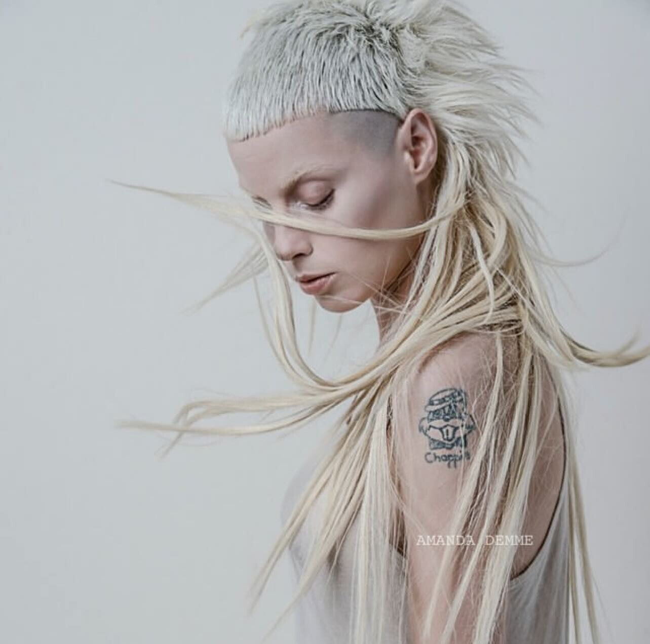Image 10165267 from Yolandi Visser / Yo-landi Vi$$er