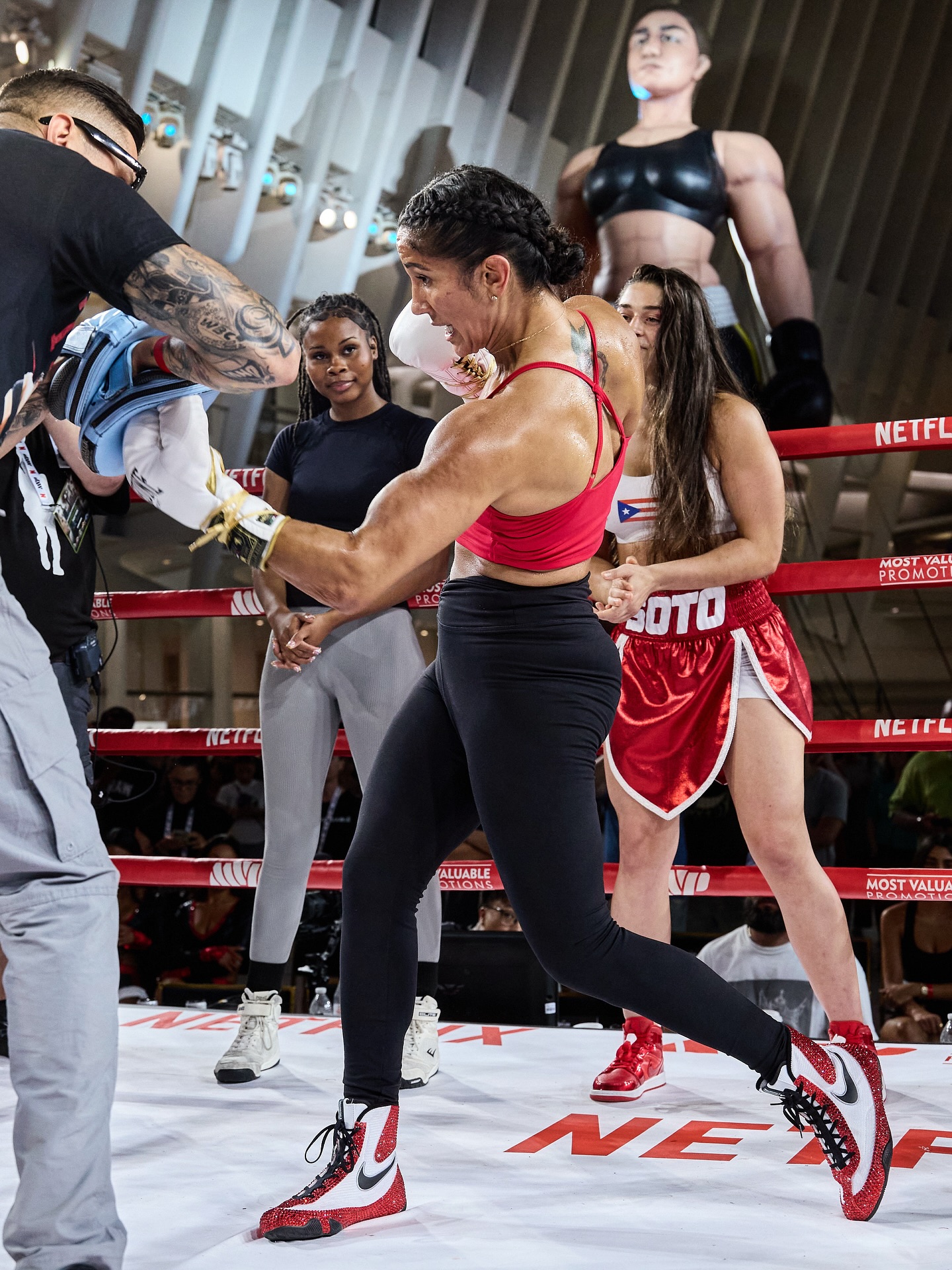 Image 10165550 from Amanda Serrano / Puerto Rican Boxer