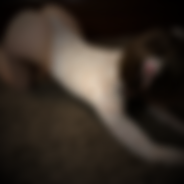 Image 10197305 from Lerka ASMRka / lerkaasmrka / ShinyStar ASMR