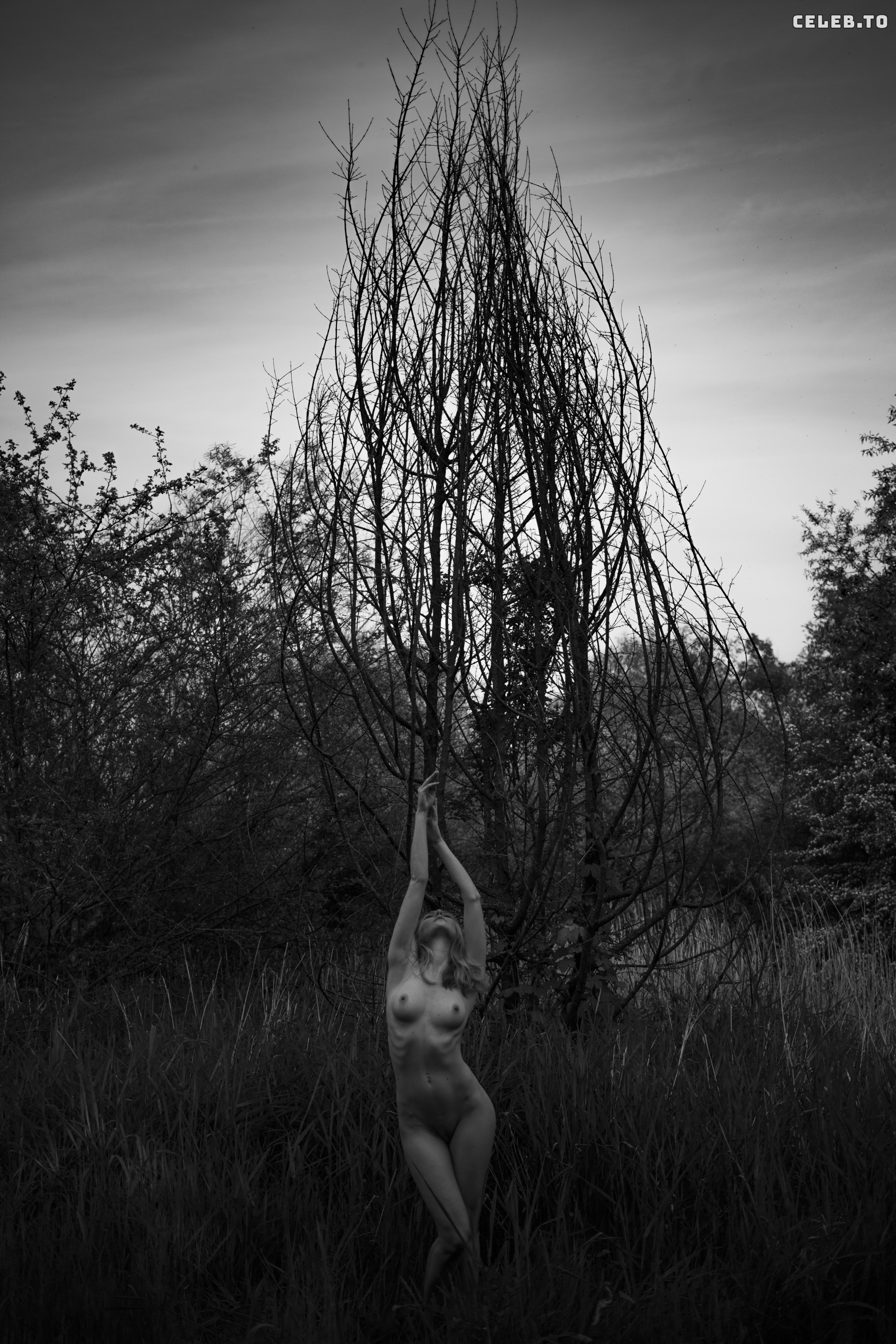 Image 10239340 from Nadja Petrova