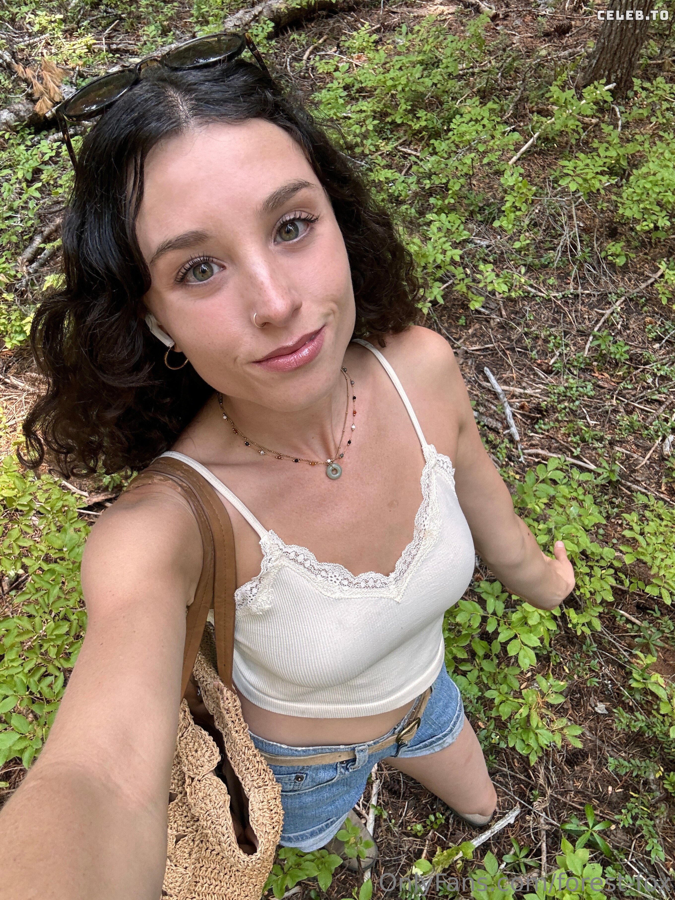 Image 10239411 from Forest Fox