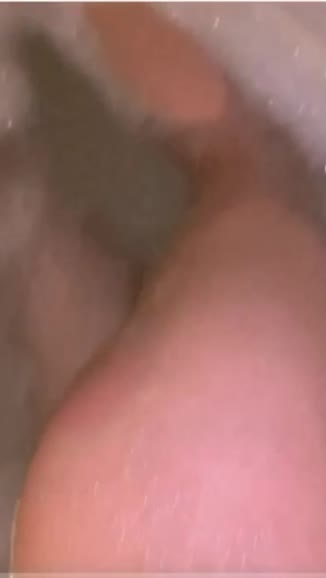 Video 463729 from Papayamb