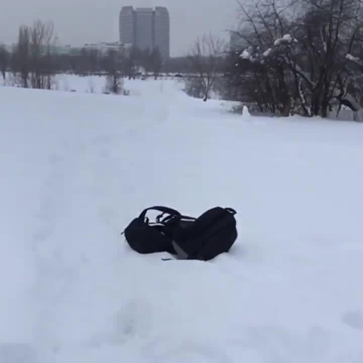Video 266890 from Alina Becker - Social Media