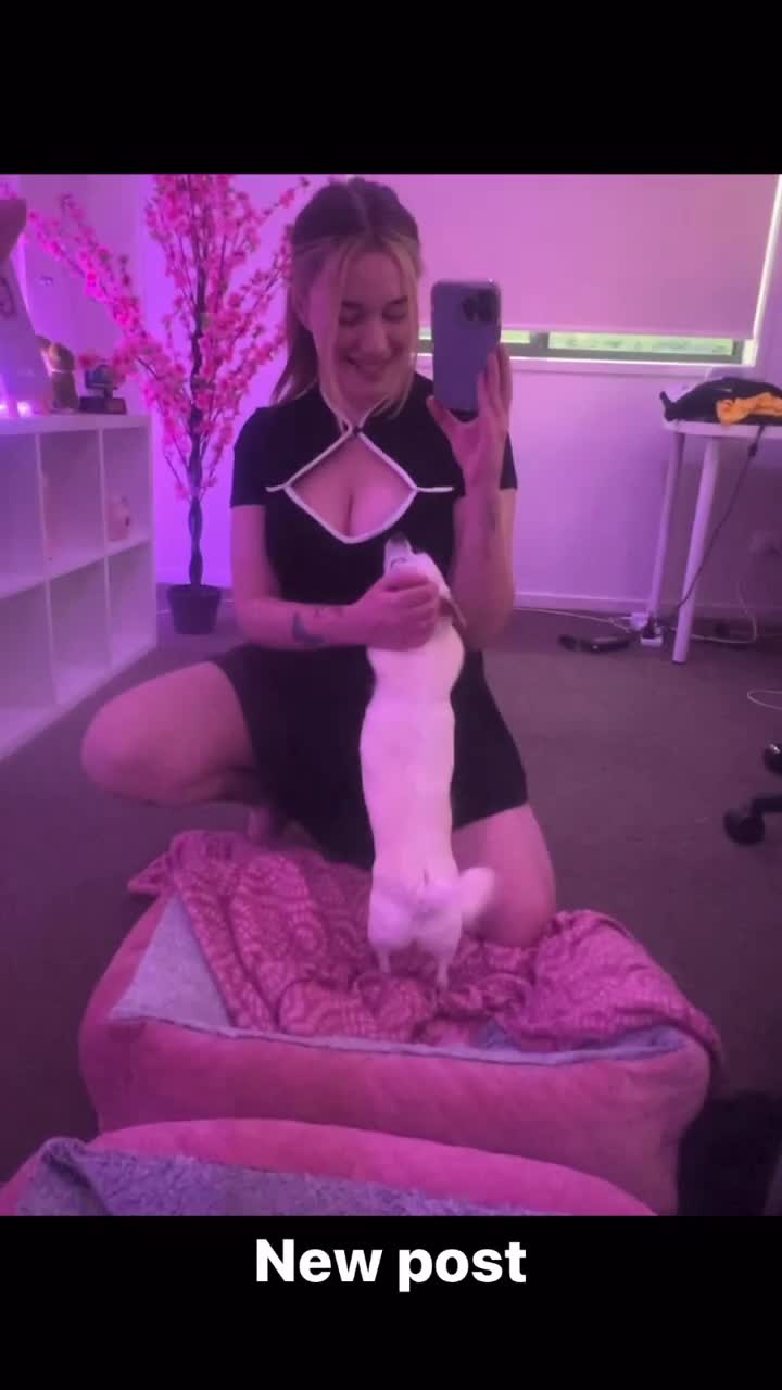 Video 471545 from Itsbordie/Bordie