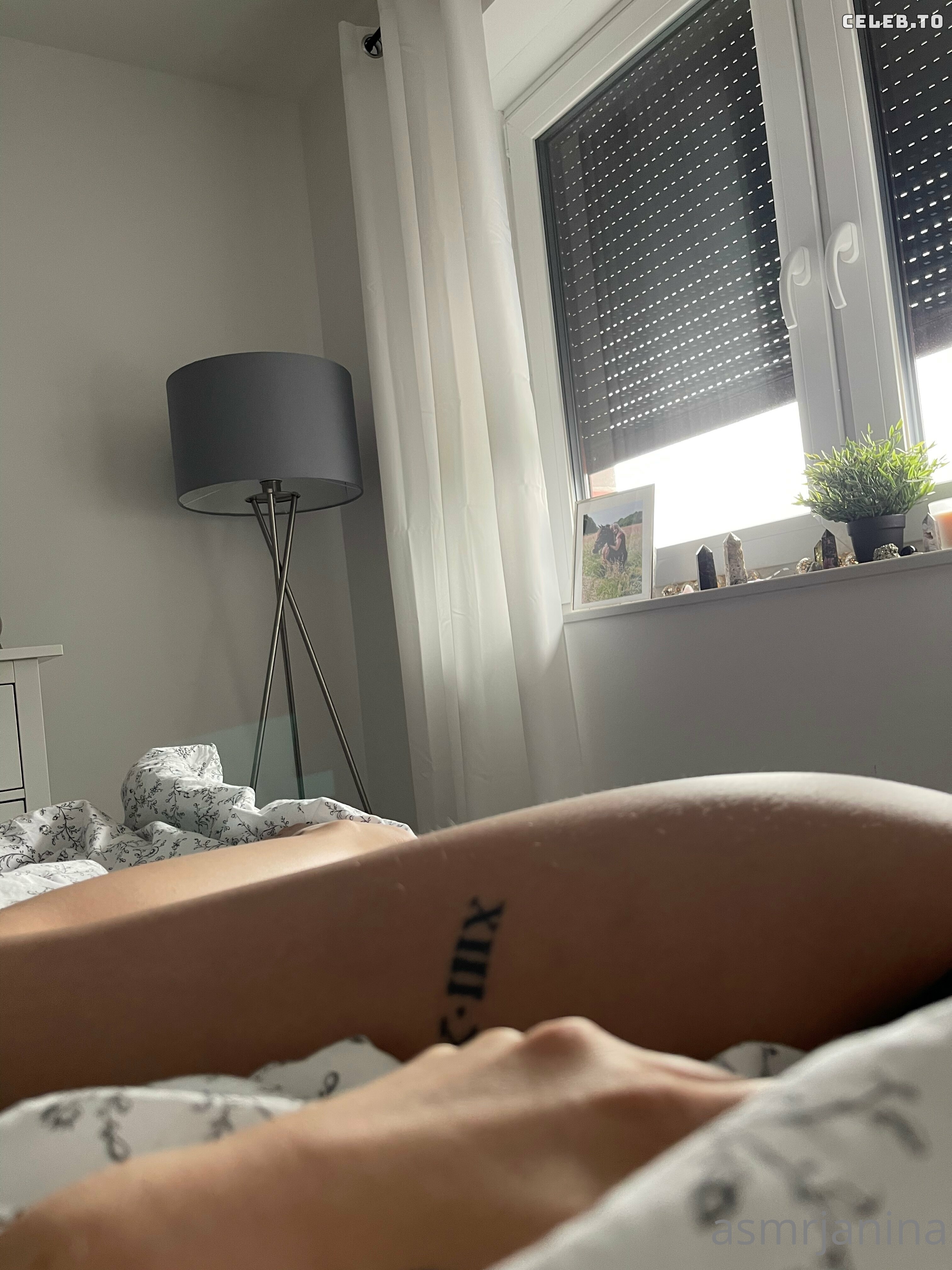 Image 1026919 from ASMR Janina