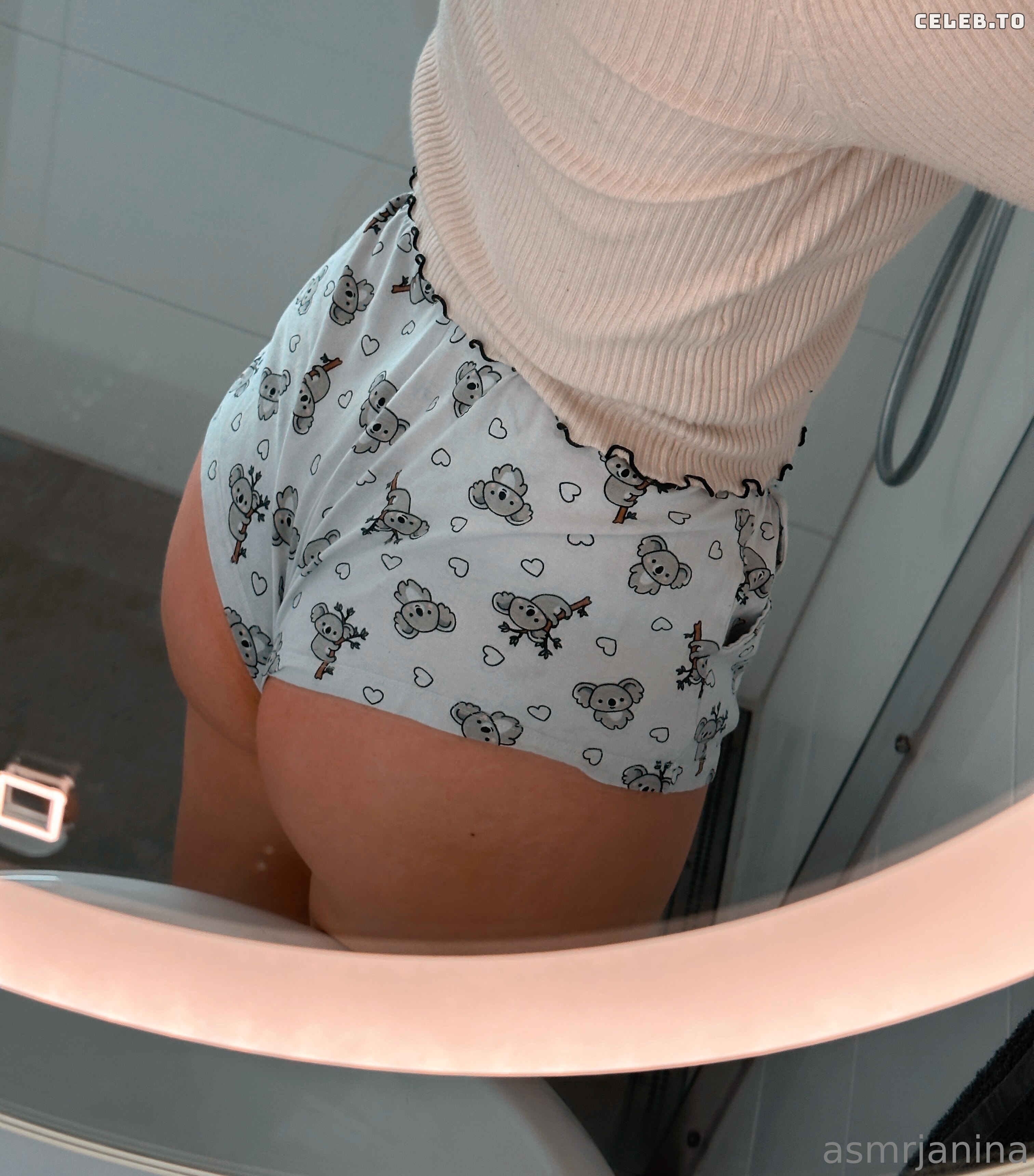 Image 1035629 from ASMR Janina