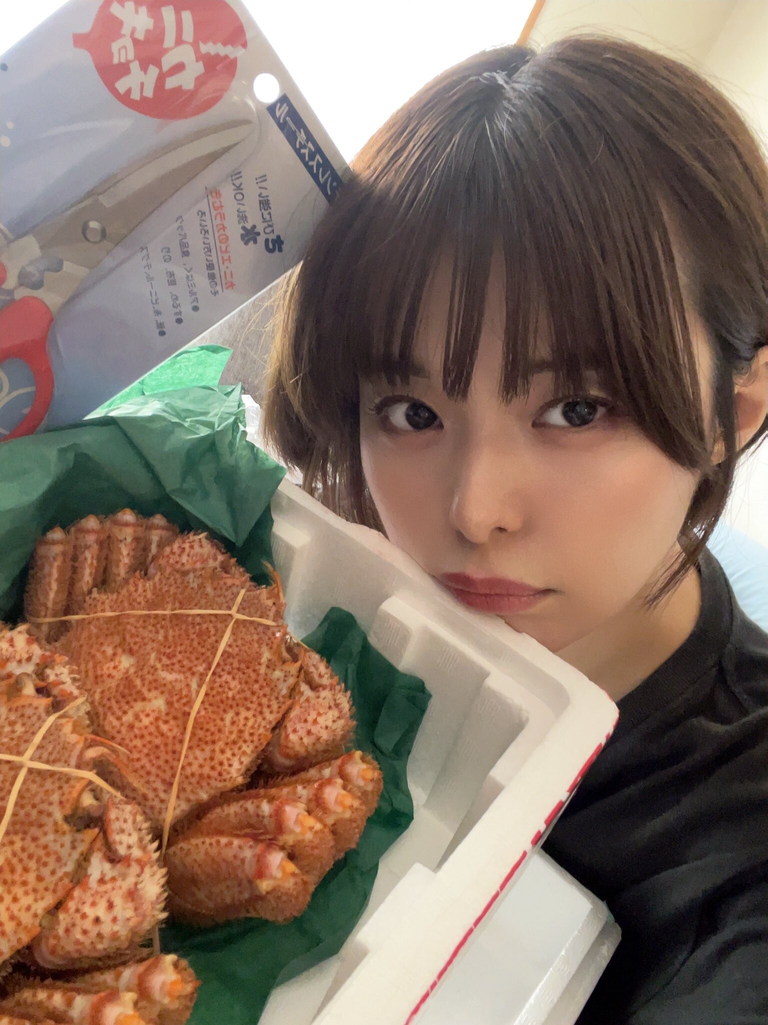Image 10538159 from Luna Tsukino 月乃ルナ