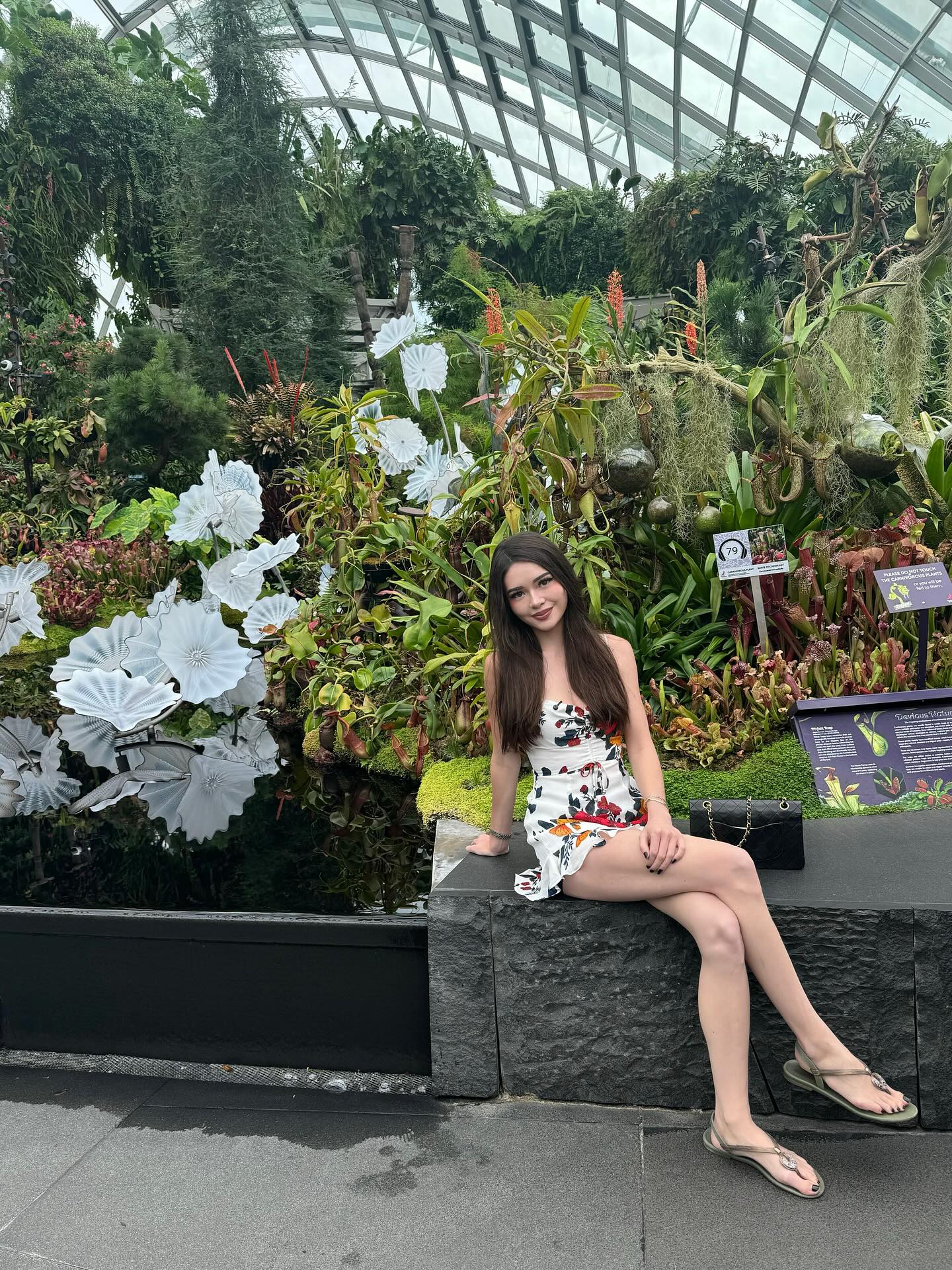Image 10615868 from itskatchii