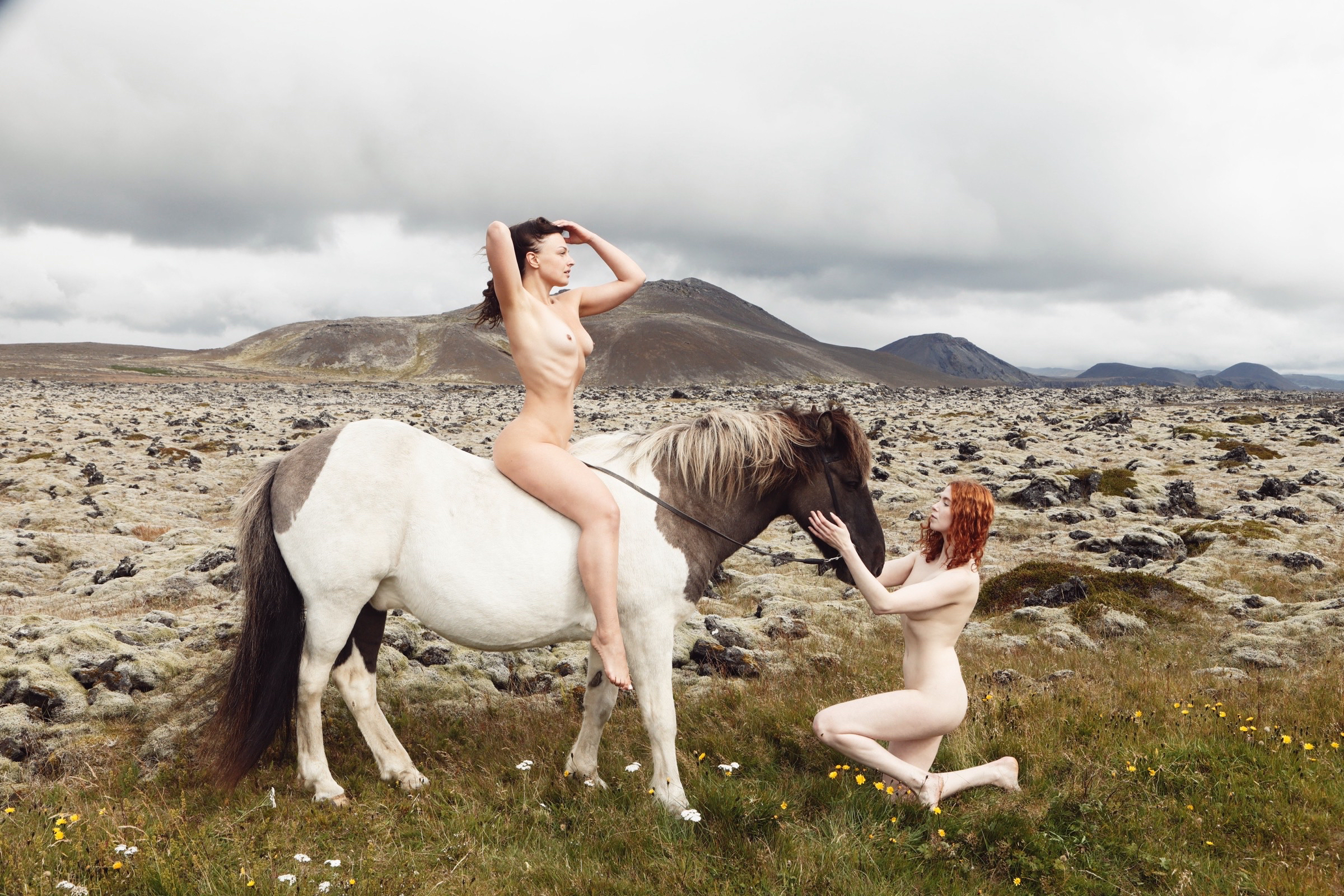 Image 10627443 from Icelandic Selkie