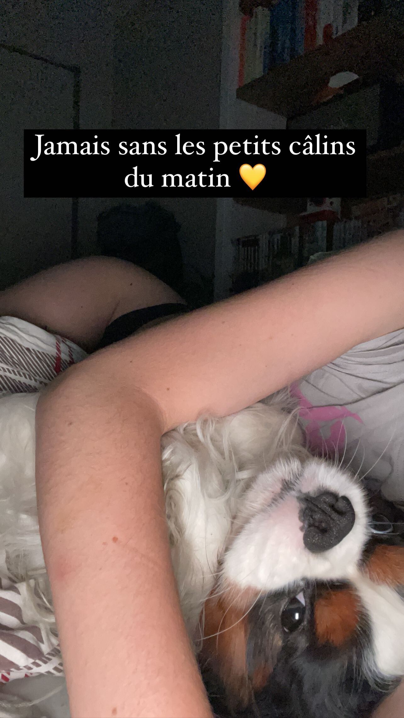 Image 10676904 from Gwenn / Gwennlins