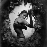 Image 10695347 from Real Red Fox | alenagerman | alena german