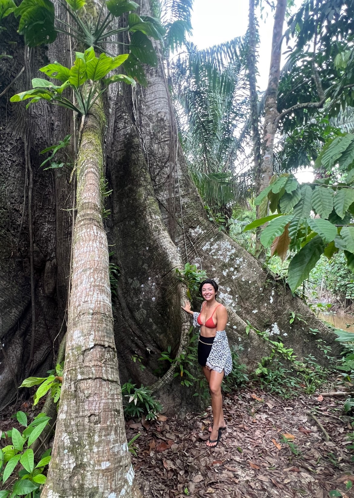 Image 10711433 from Carolina Oliveira