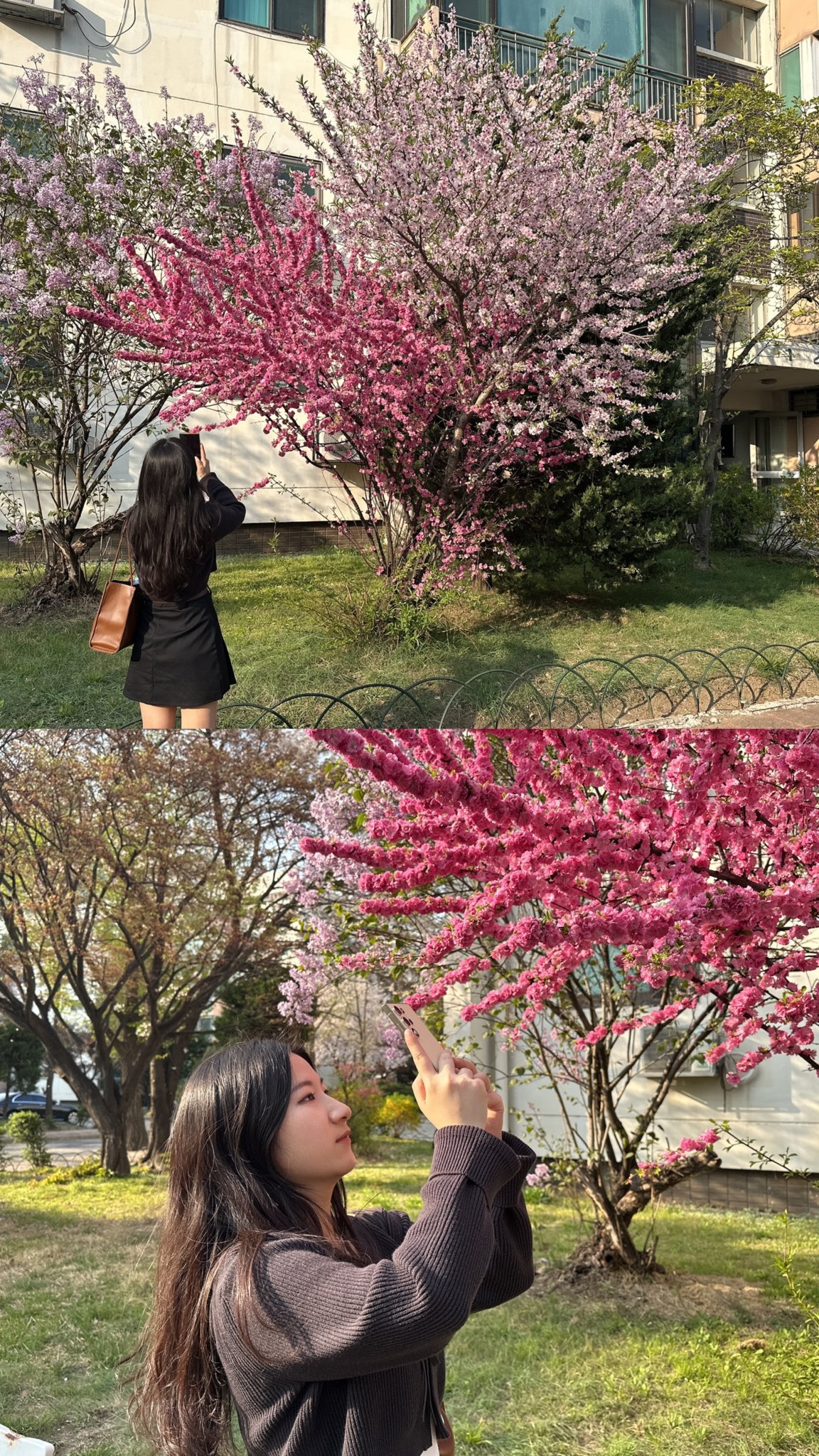 Image 10712595 from nya_ming | he11opeaches | he11o_o11 | 냐밍 / 피치 | bsr_ming
