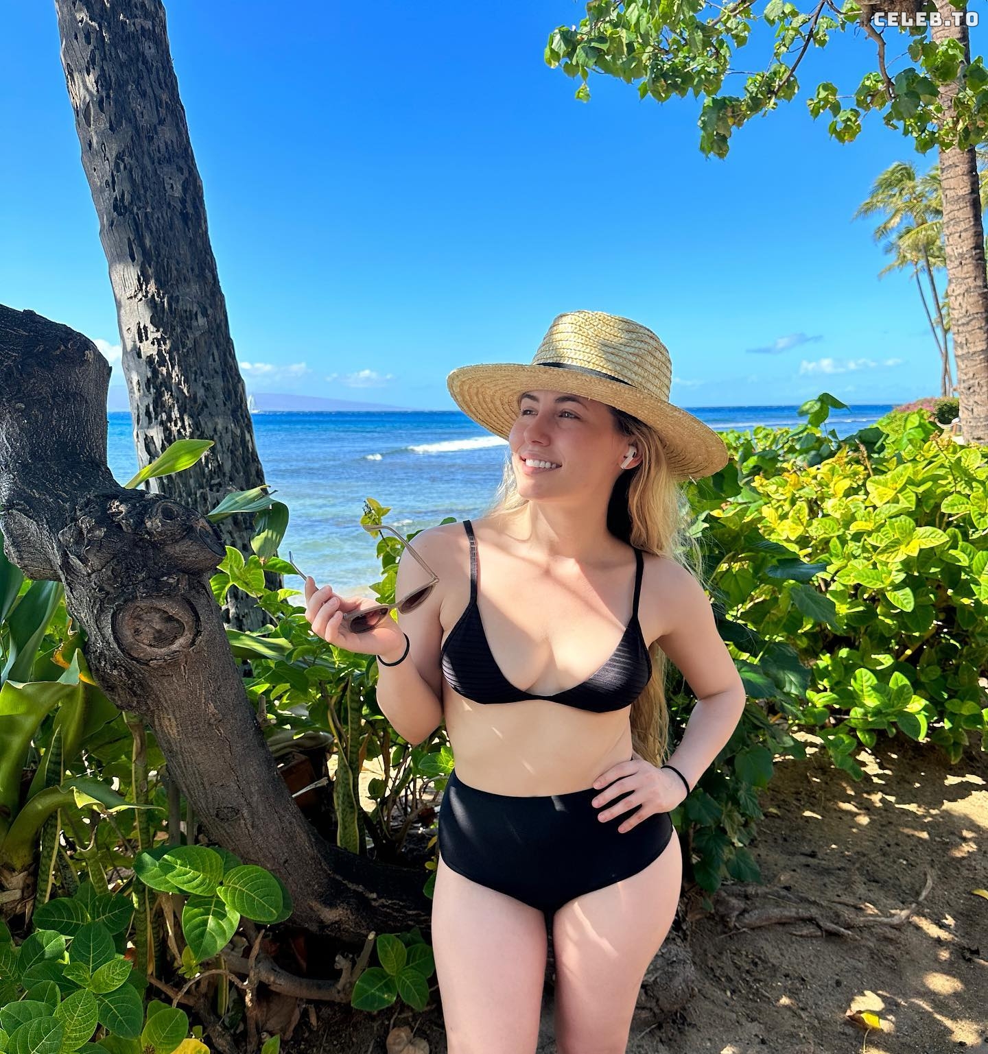 Image 1074799 from Nicki Taylor