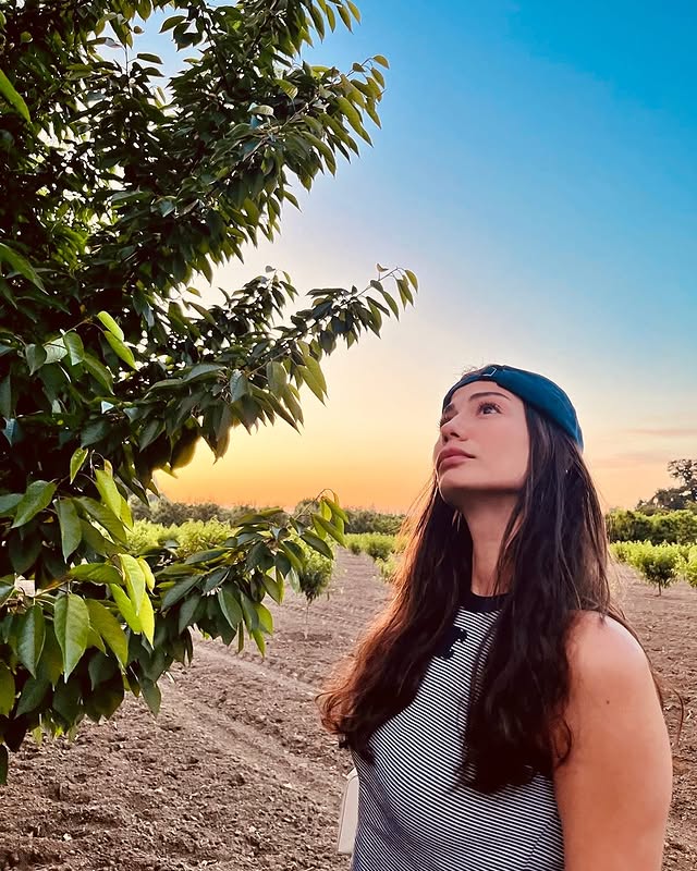 Image 10772741 from Demet Özdemir