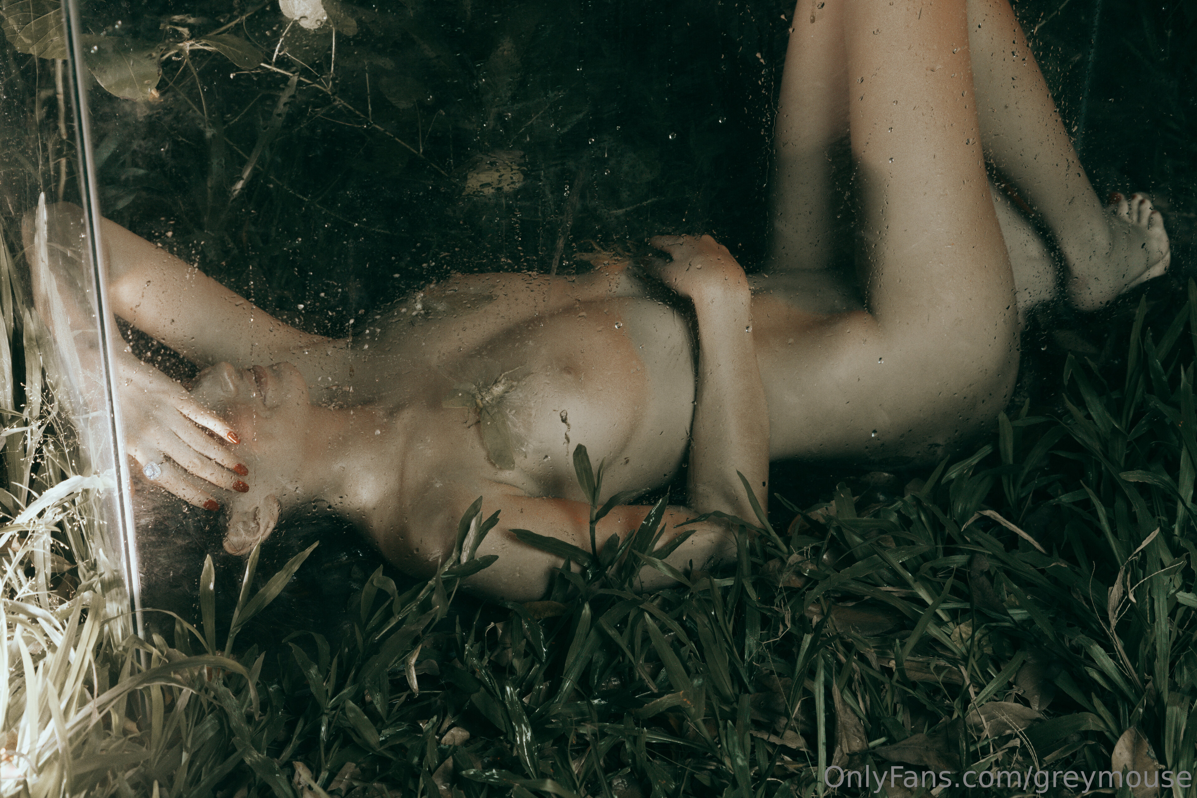 Image 10795111 from Greymouse Valeria