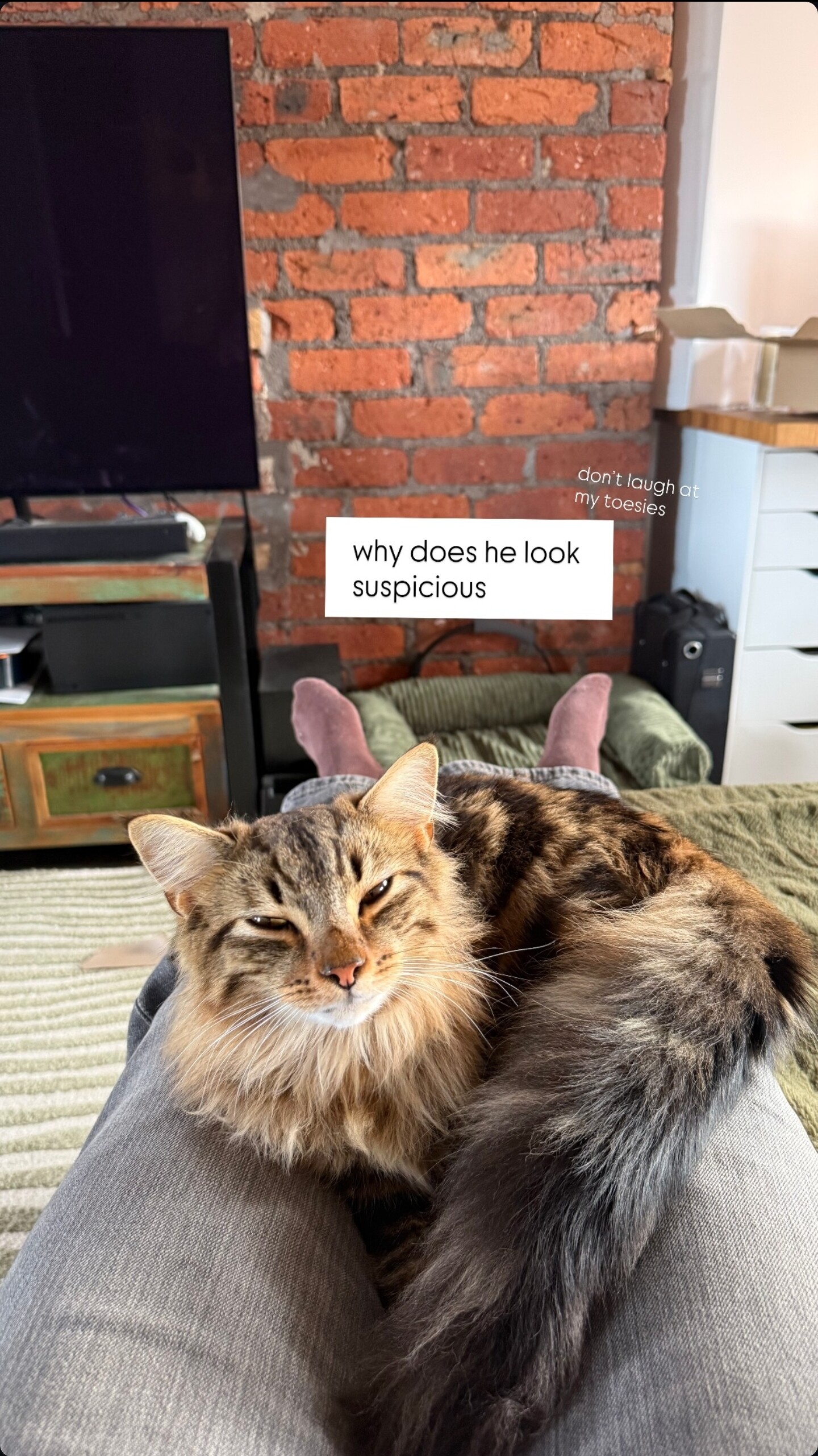Image 10797911 from Soupforeloise