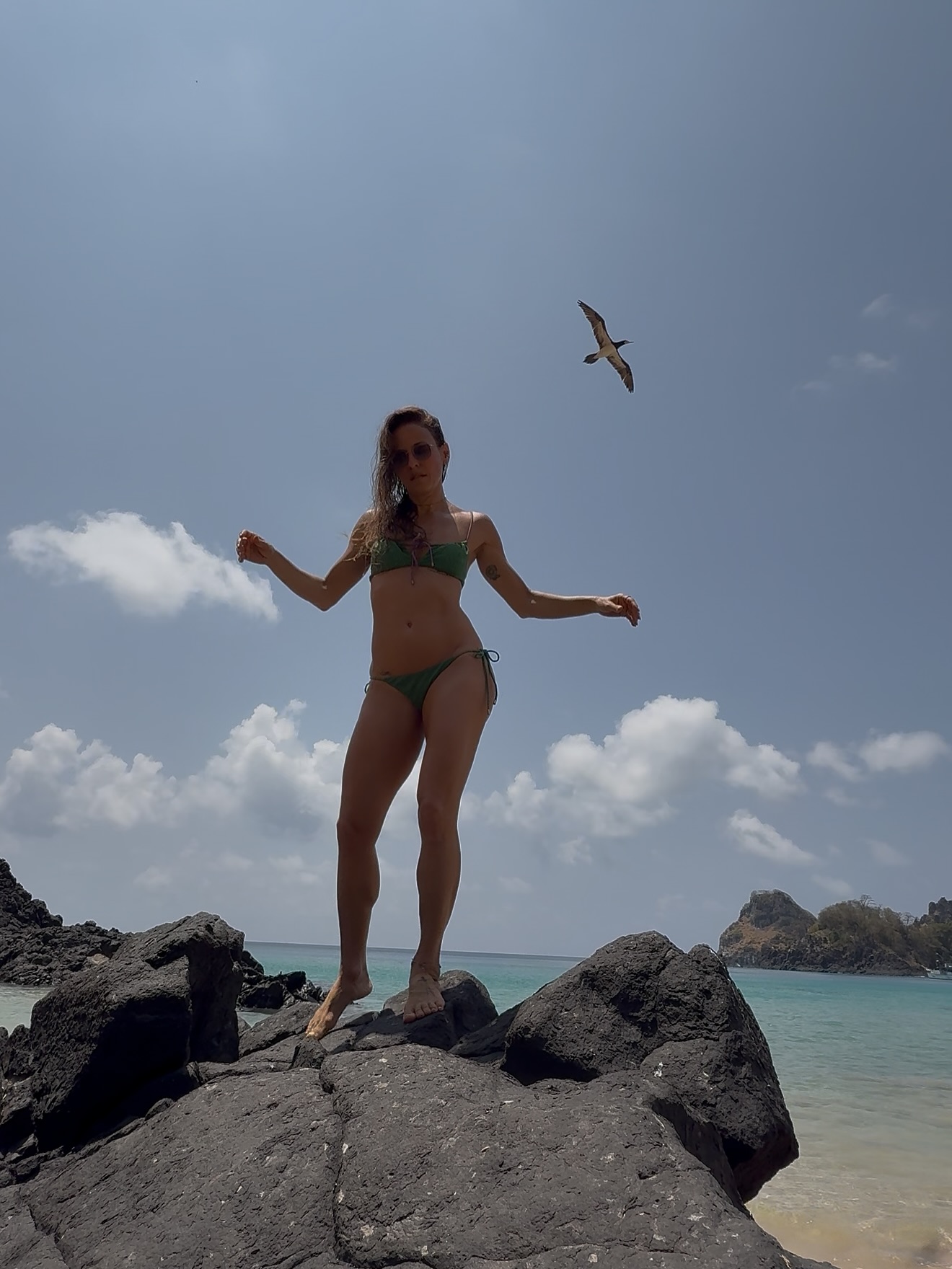 Image 10801037 from Fernanda De Freitas