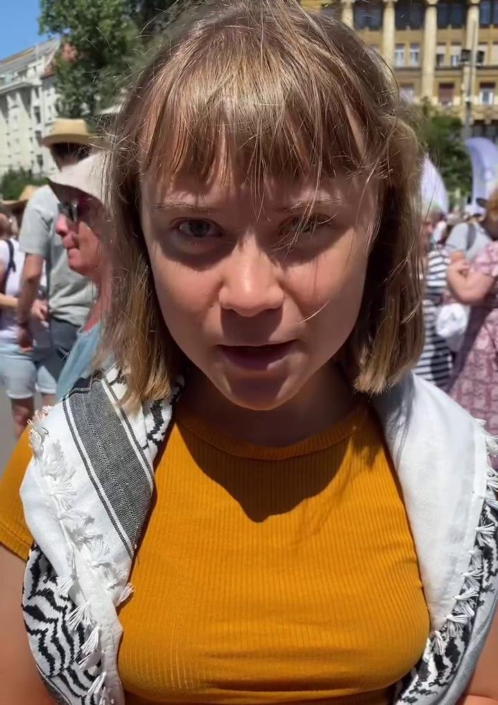 Image 10866590 from Greta Thunberg