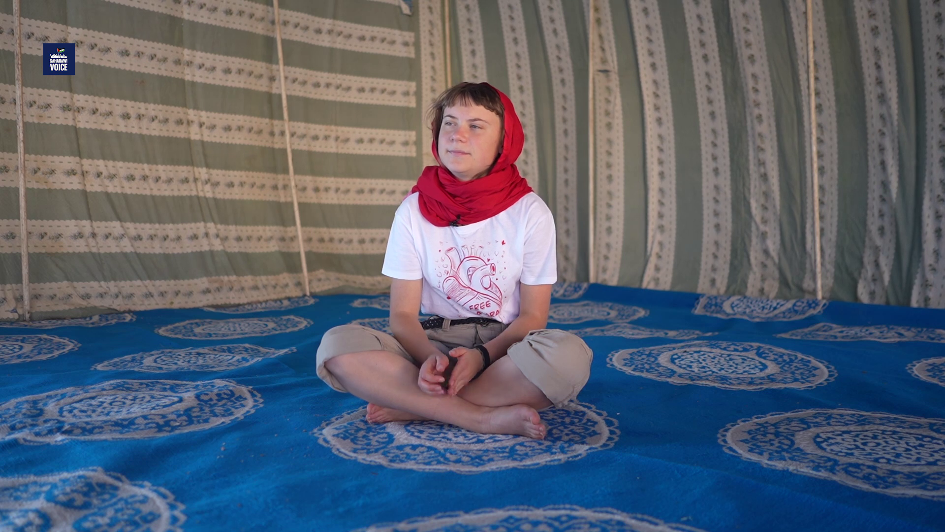 Image 10866633 from Greta Thunberg