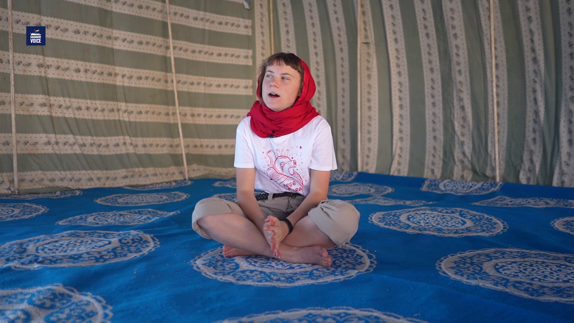 Image 10866636 from Greta Thunberg