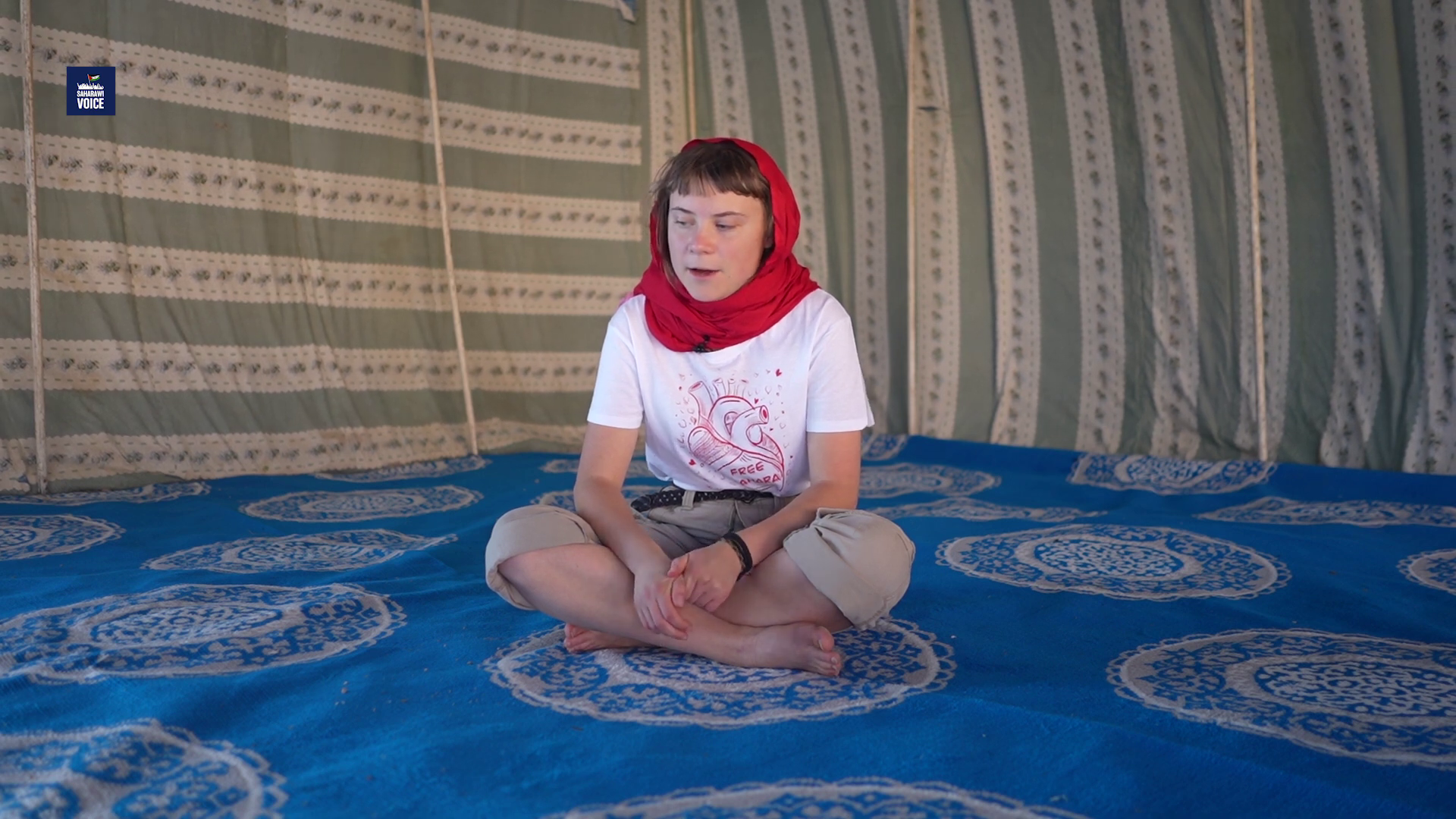 Image 10866639 from Greta Thunberg