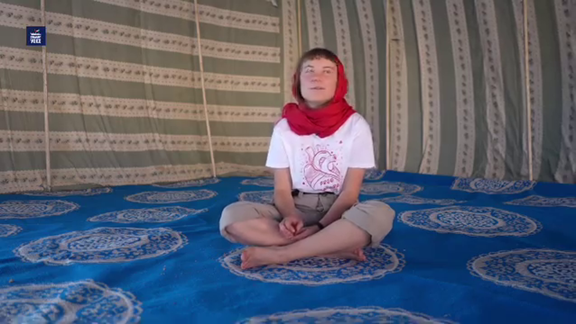 Image 10866642 from Greta Thunberg