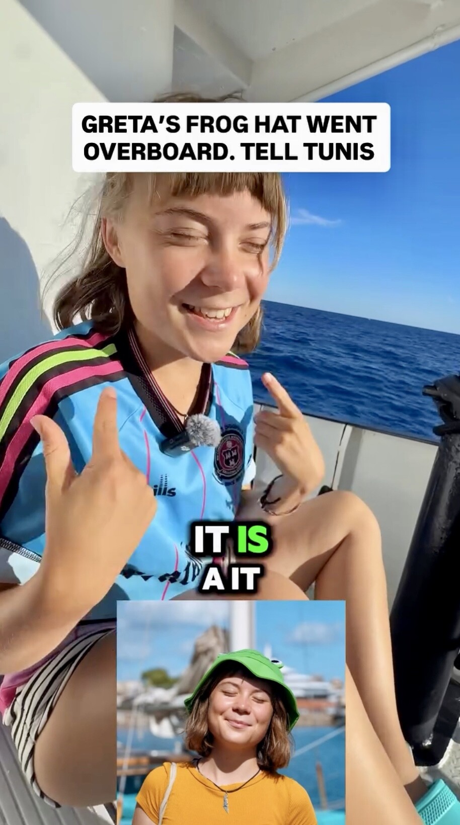 Image 10866663 from Greta Thunberg