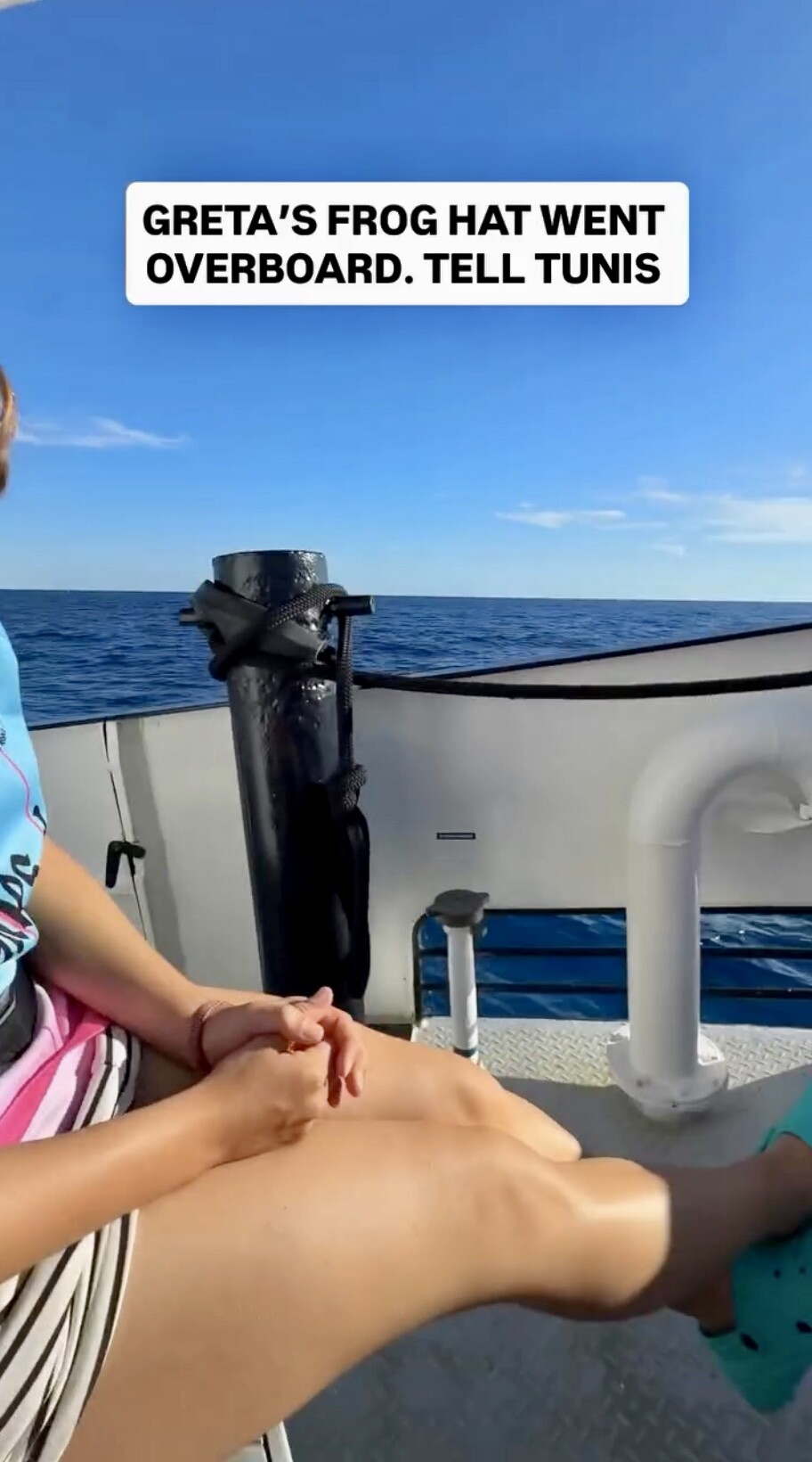 Image 10866679 from Greta Thunberg