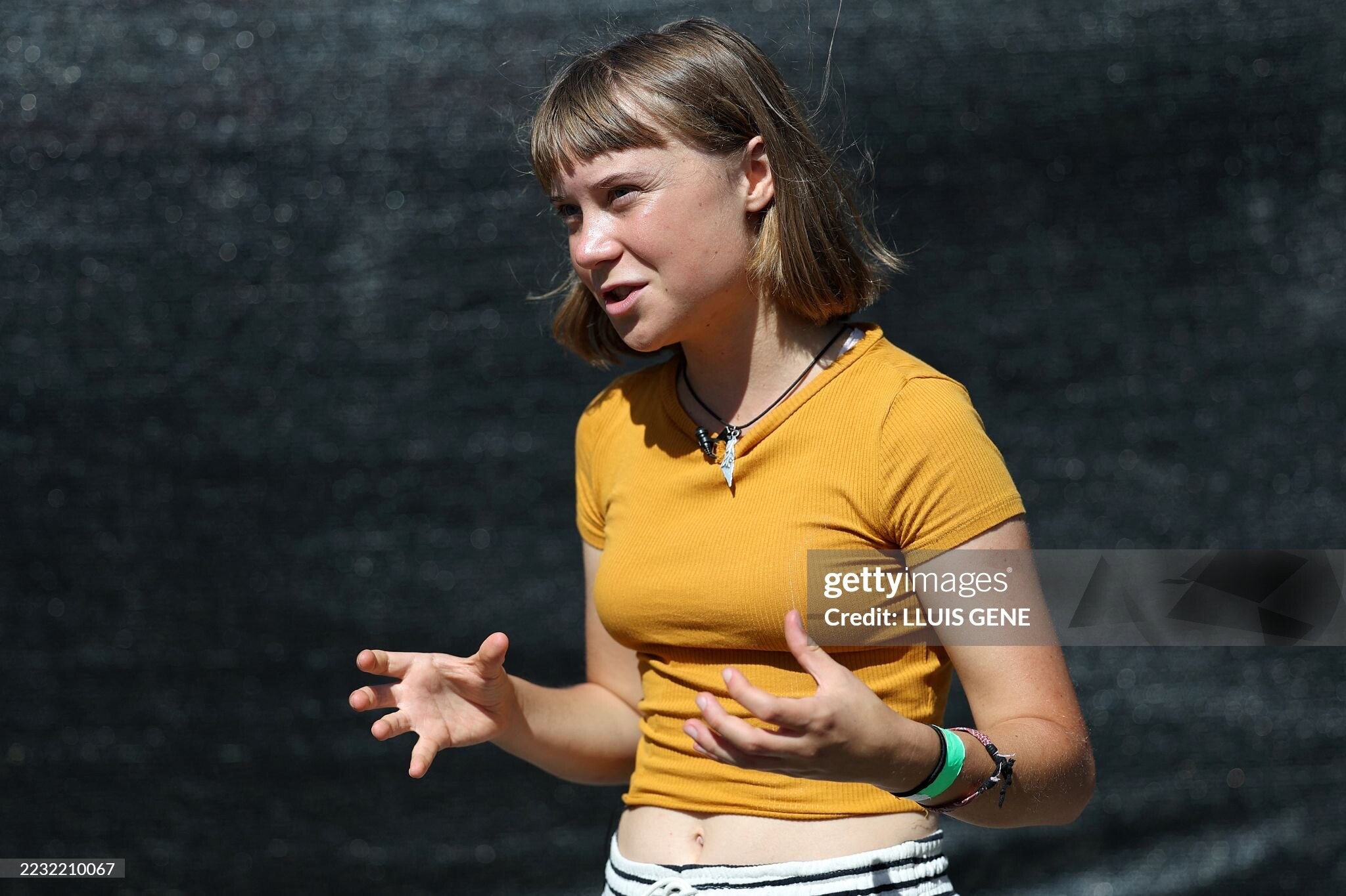 Image 10866689 from Greta Thunberg
