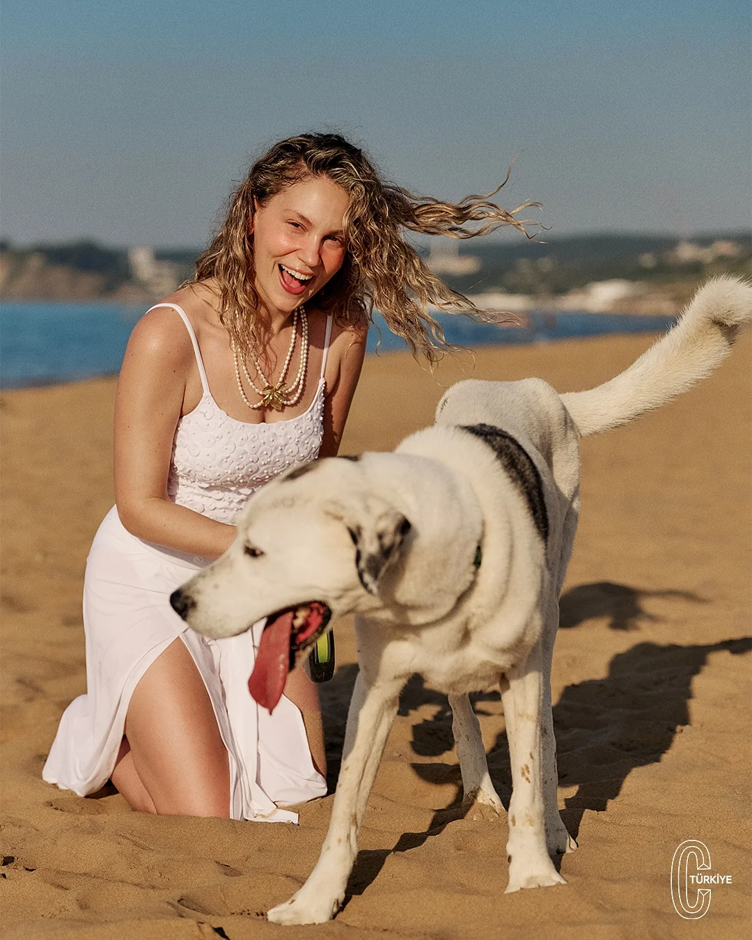 Image 10866992 from Farah Zeynep Abdullah