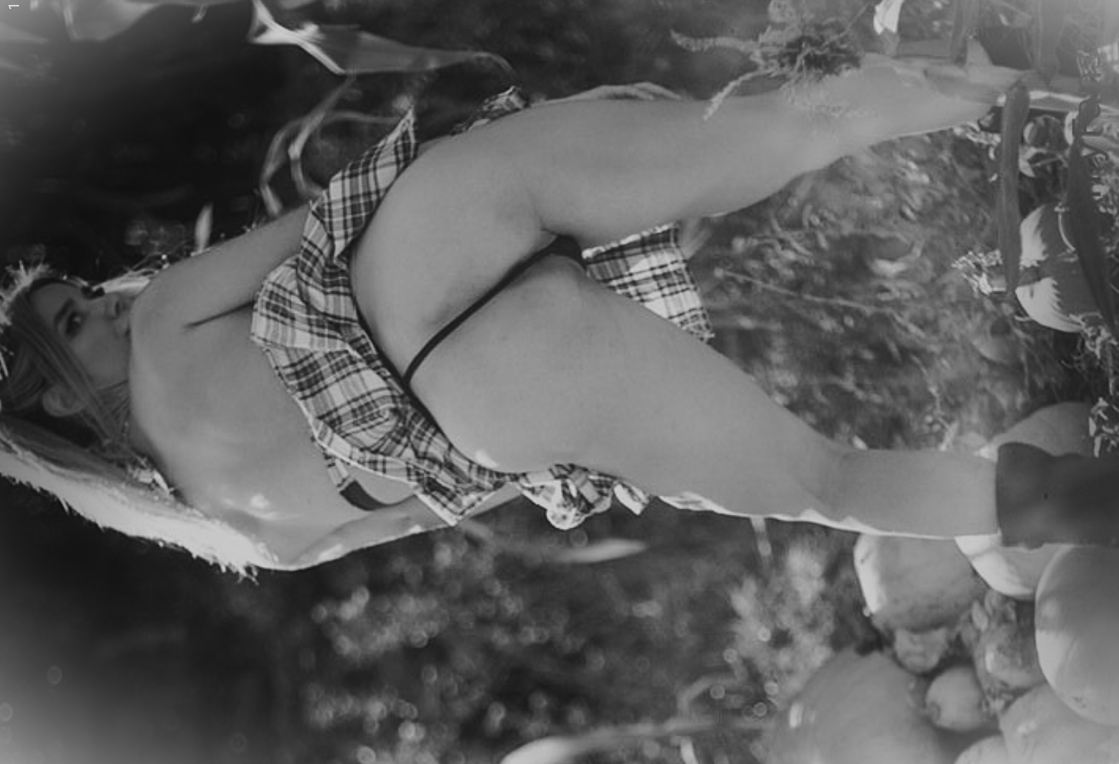 Image 10879813 from Kayli Ann Phillips