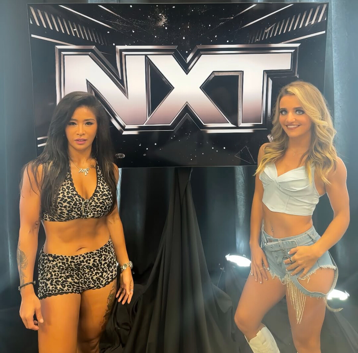 Image 11337905 from WWE Xia Li