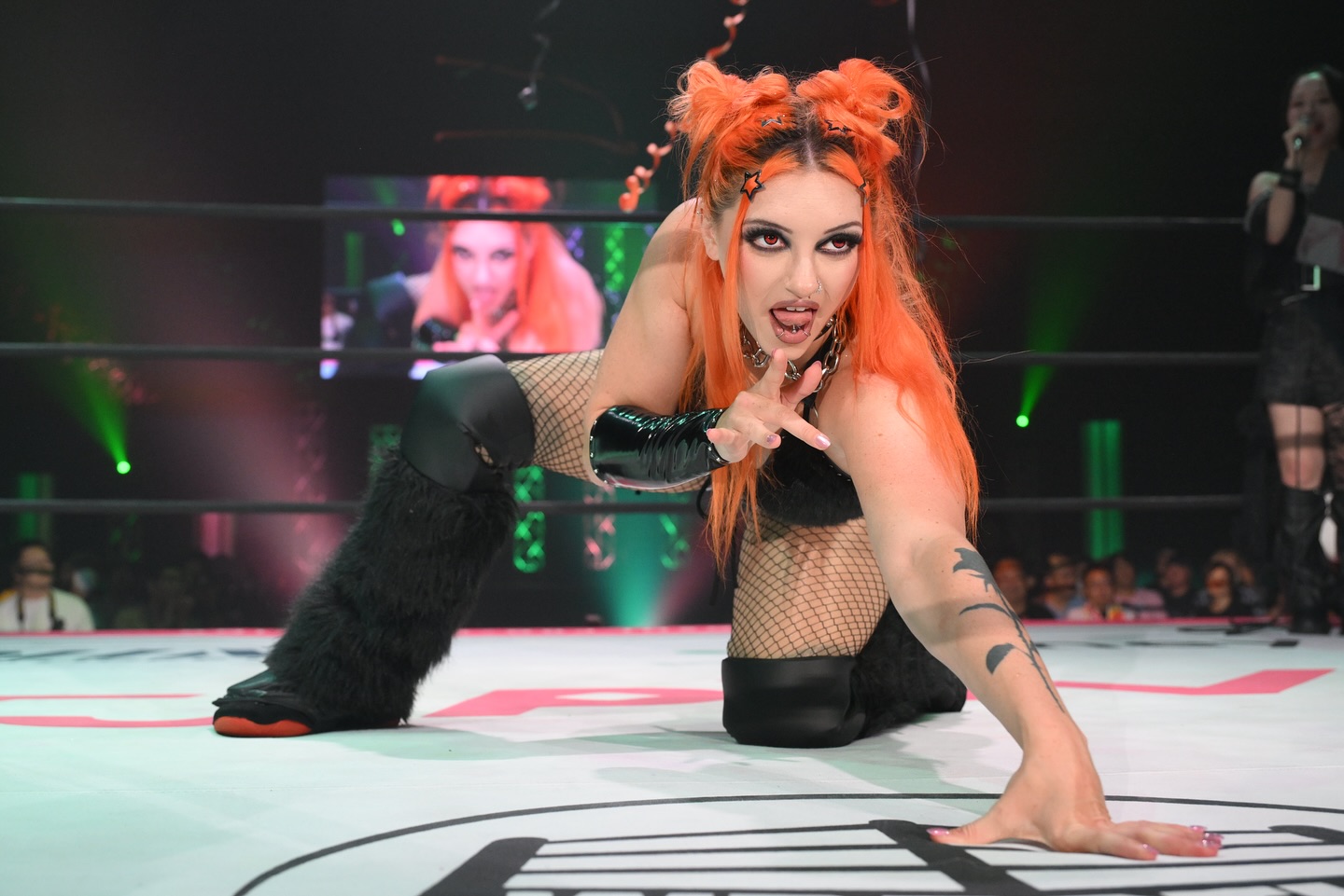 Image 11339629 from WWE GiGi Dolin / Priscilla Kelly