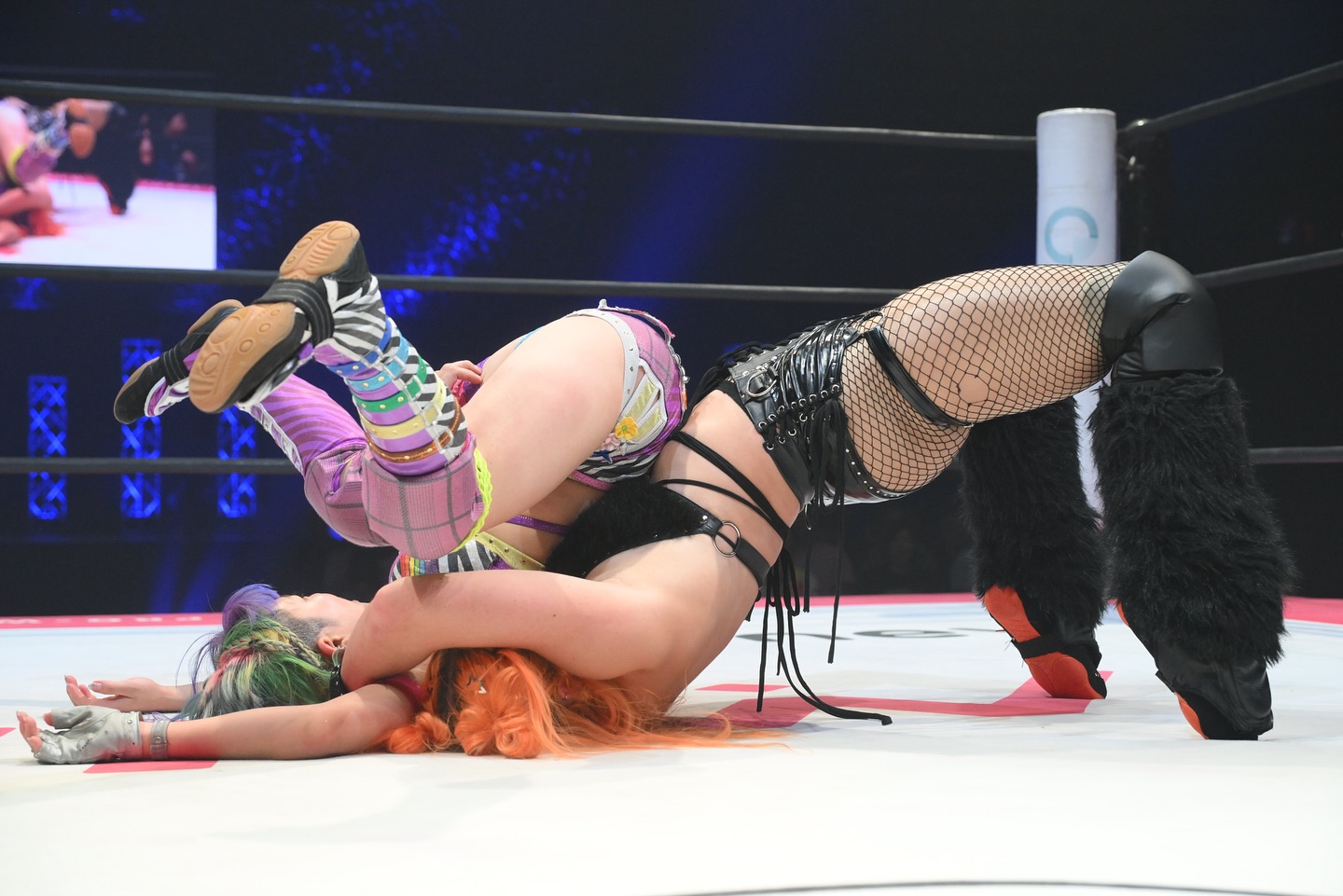 Image 11339632 from WWE GiGi Dolin / Priscilla Kelly