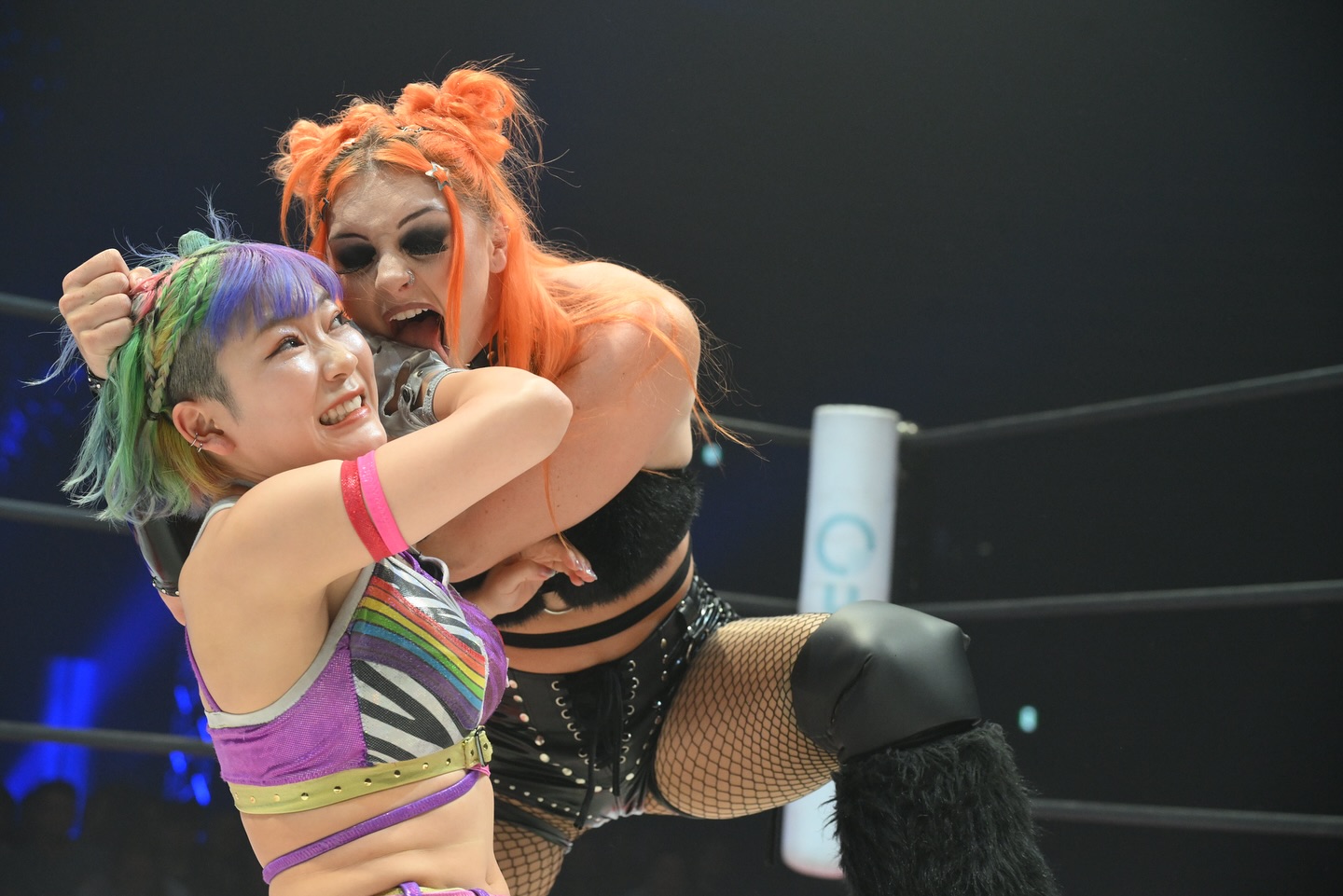 Image 11339633 from WWE GiGi Dolin / Priscilla Kelly