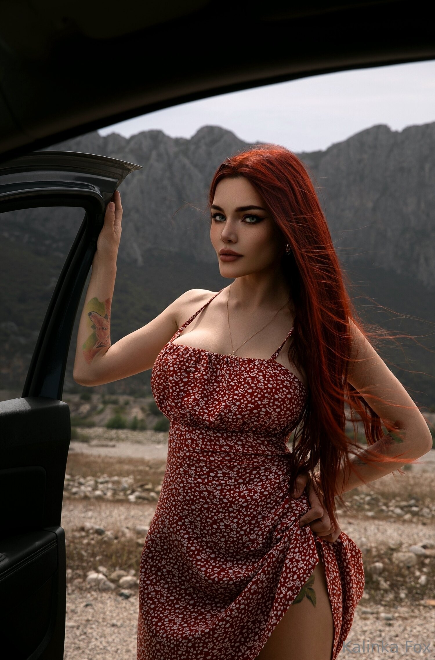 Image 11343001 from Kalinka Fox (Christina Fink)