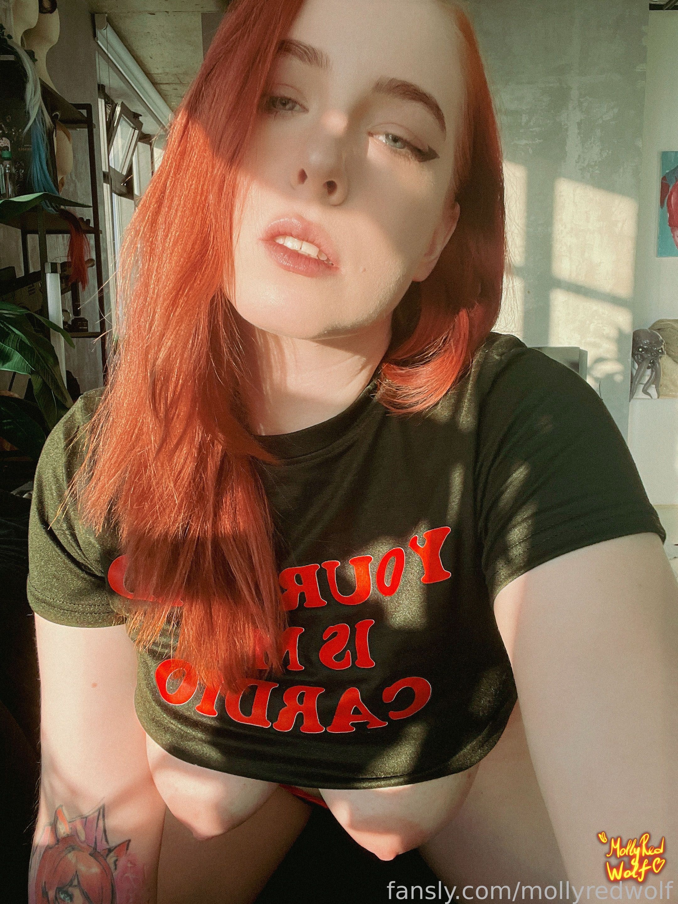 Image 11354854 from MollyRedWolf