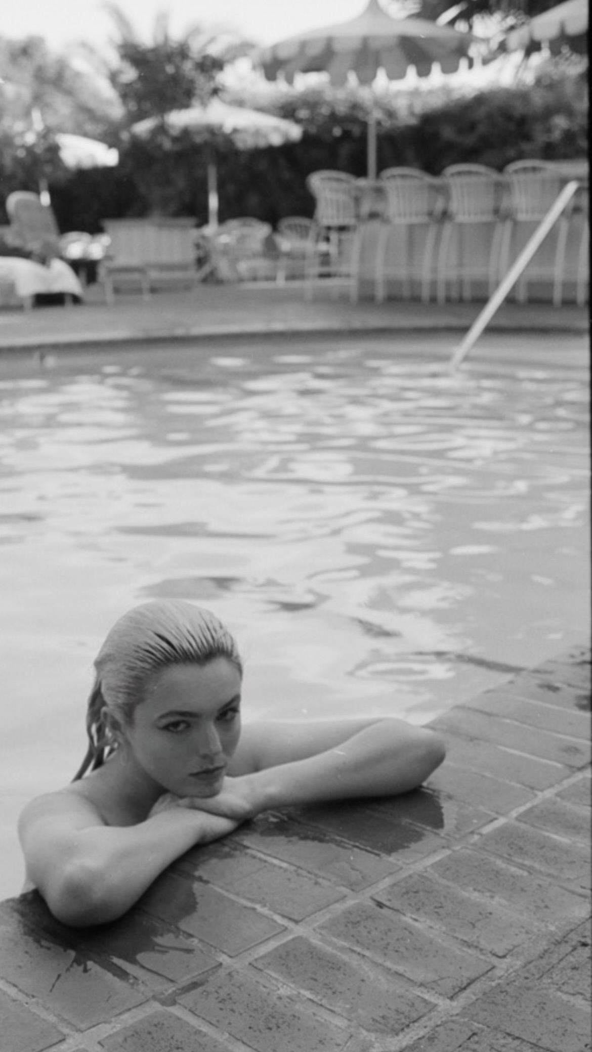 Image 11411095 from Morgan Cozzi / Daisy Jean / Daisy Chains