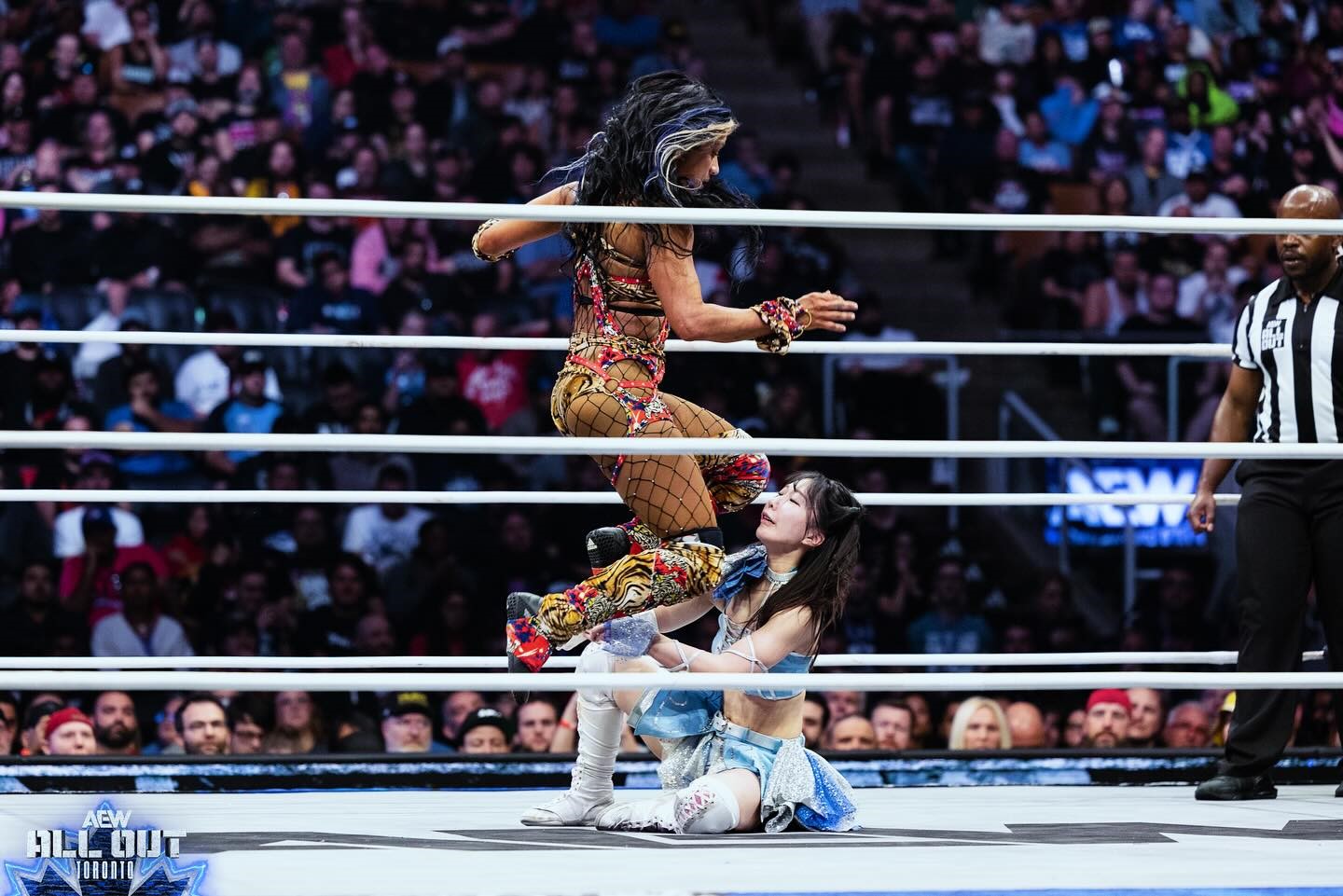 Image 11444189 from WWE Sasha Banks | Mercedes Moné