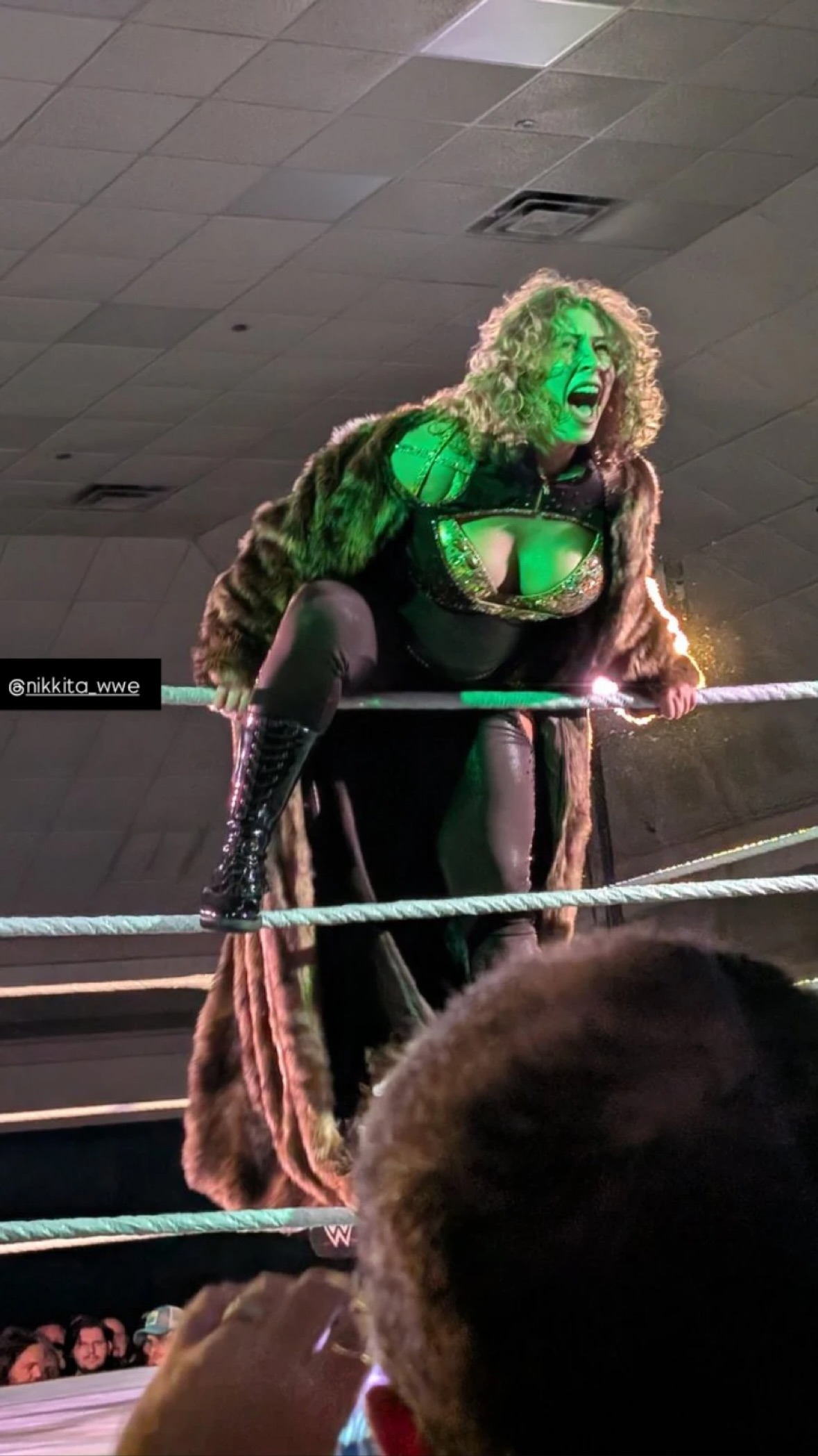 Image 11494305 from WWE Nikkita Lyons