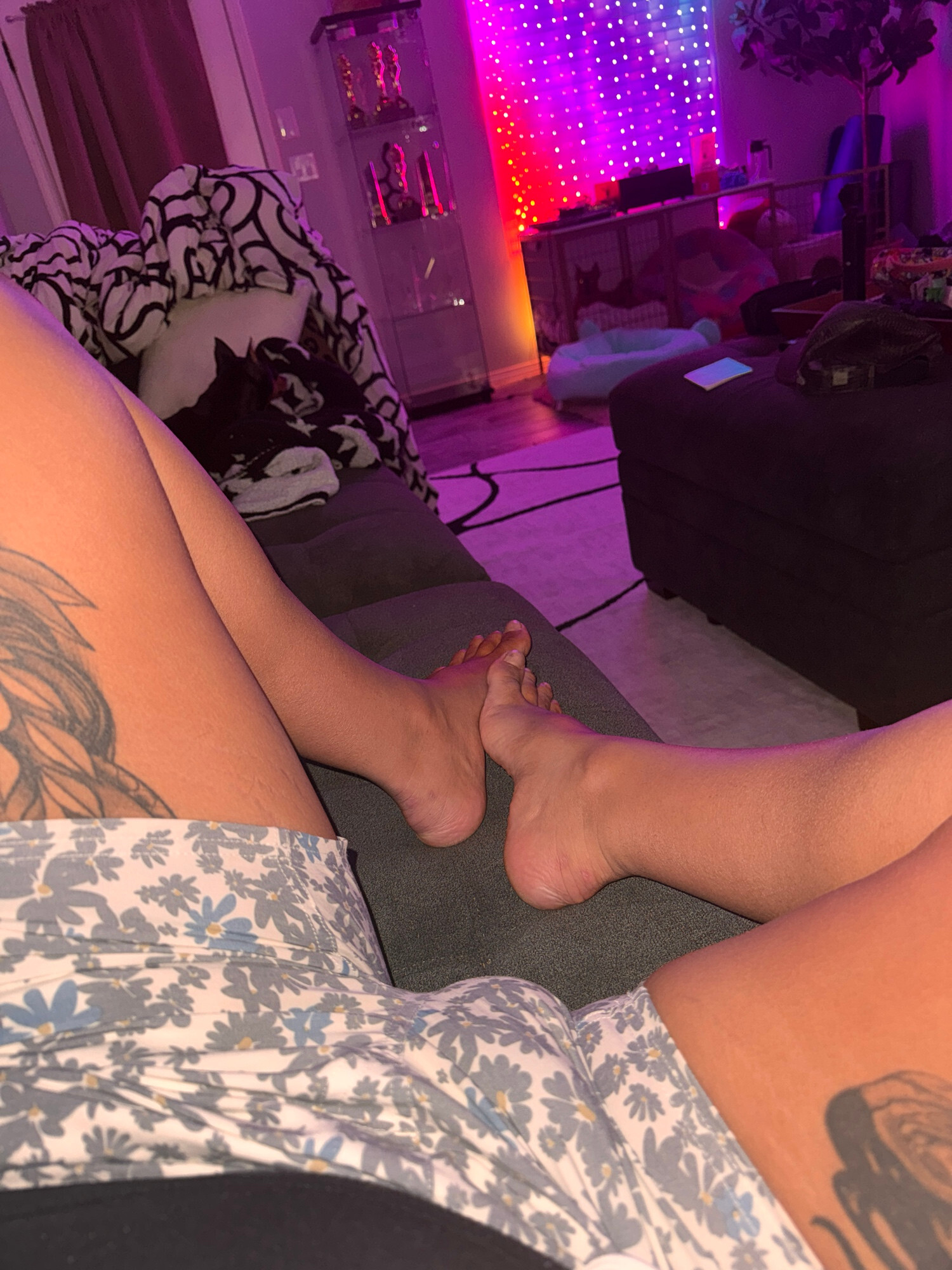Image 11539258 from Chanel Santini