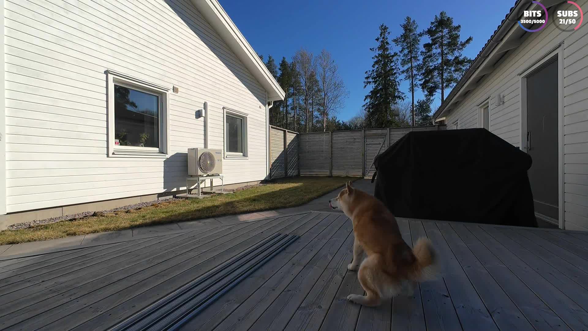Video 651585 from Miss Mikkaa / missmikkaa