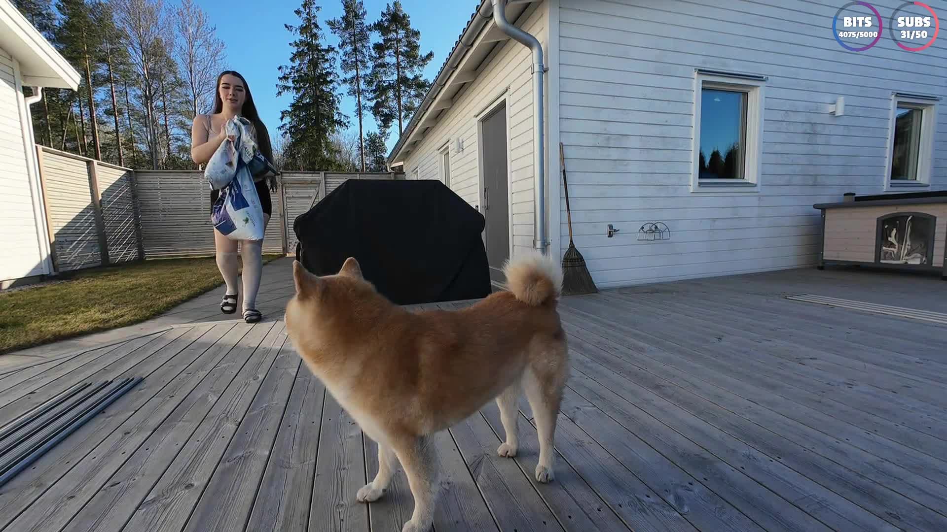 Video 651590 from Miss Mikkaa / missmikkaa