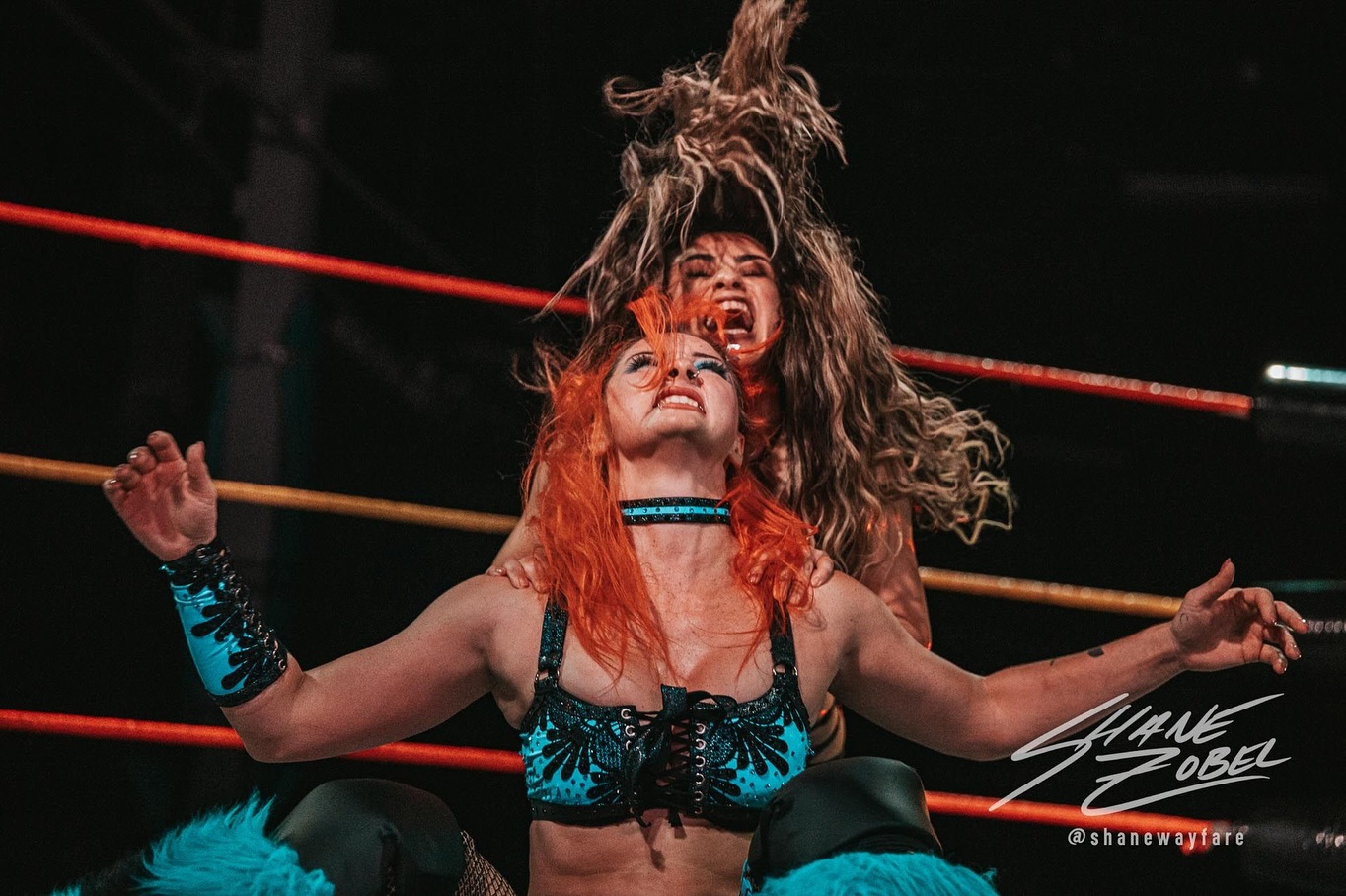 Image 11586175 from WWE GiGi Dolin / Priscilla Kelly