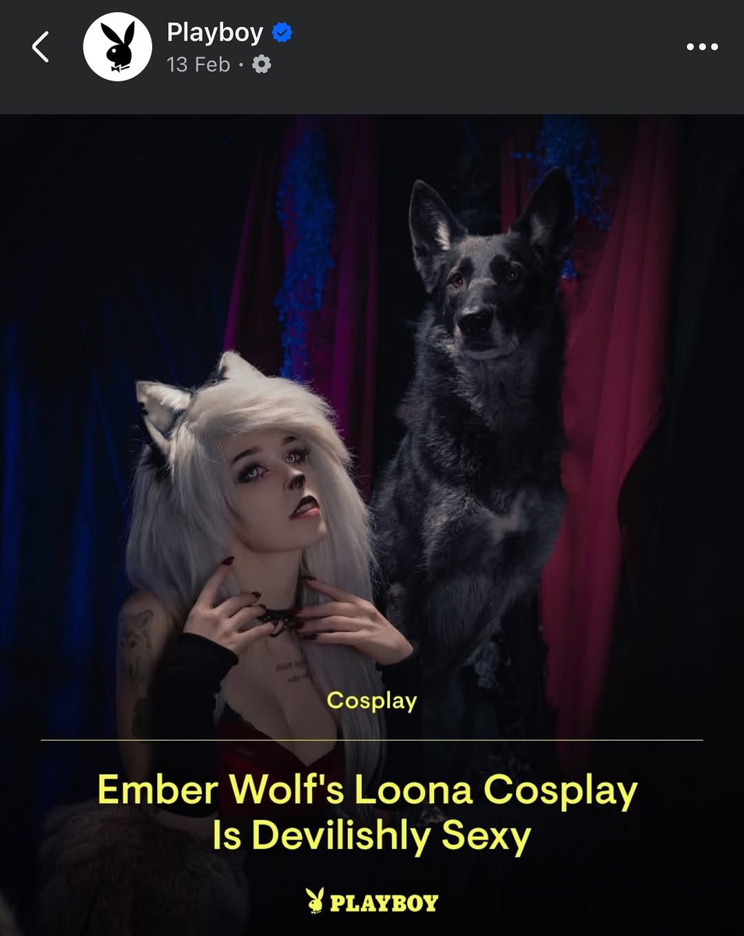 Image 11589917 from Ember Wolf