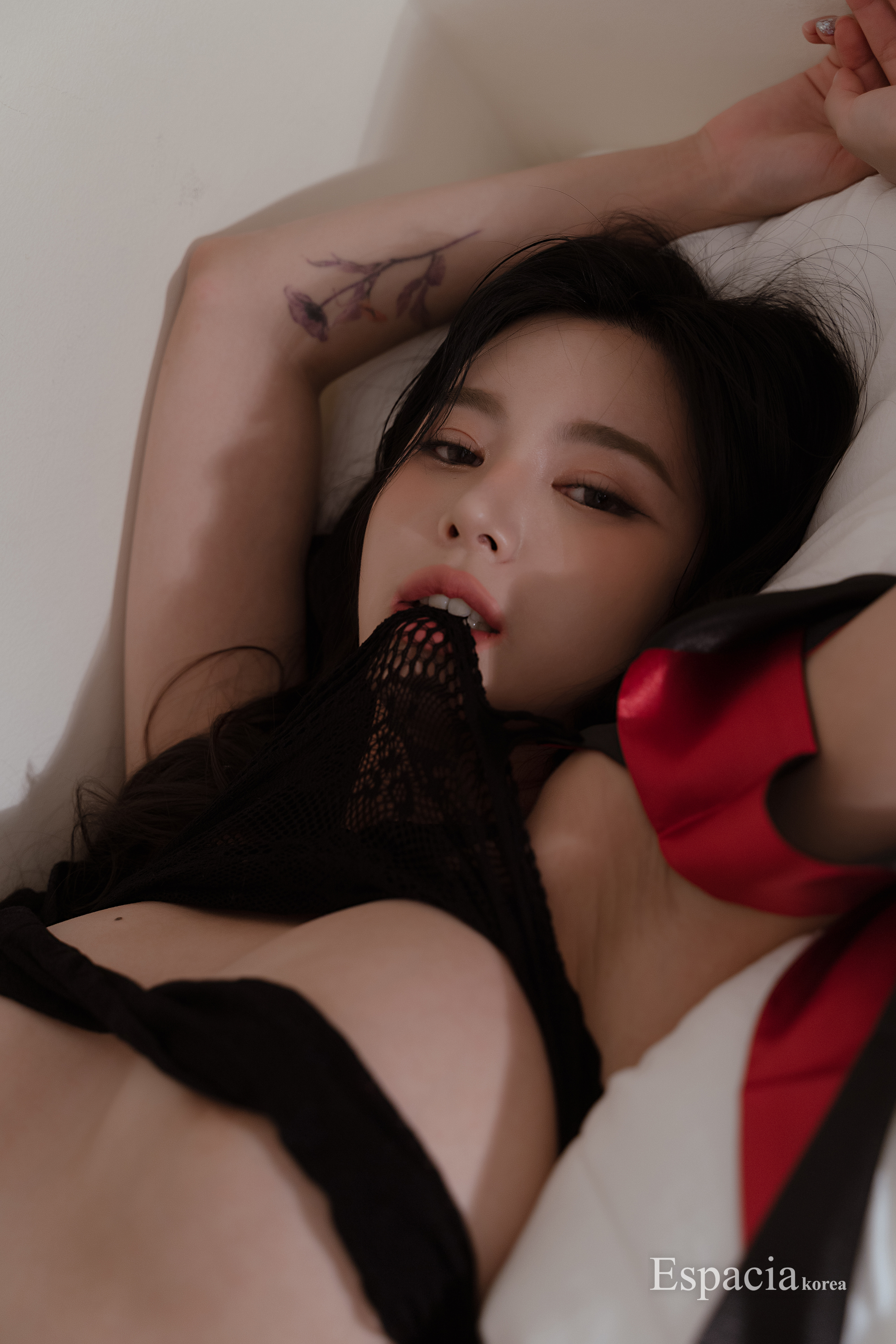 Image 11598392 from BJ 푸글리 / vnfmadl93 / Puglery